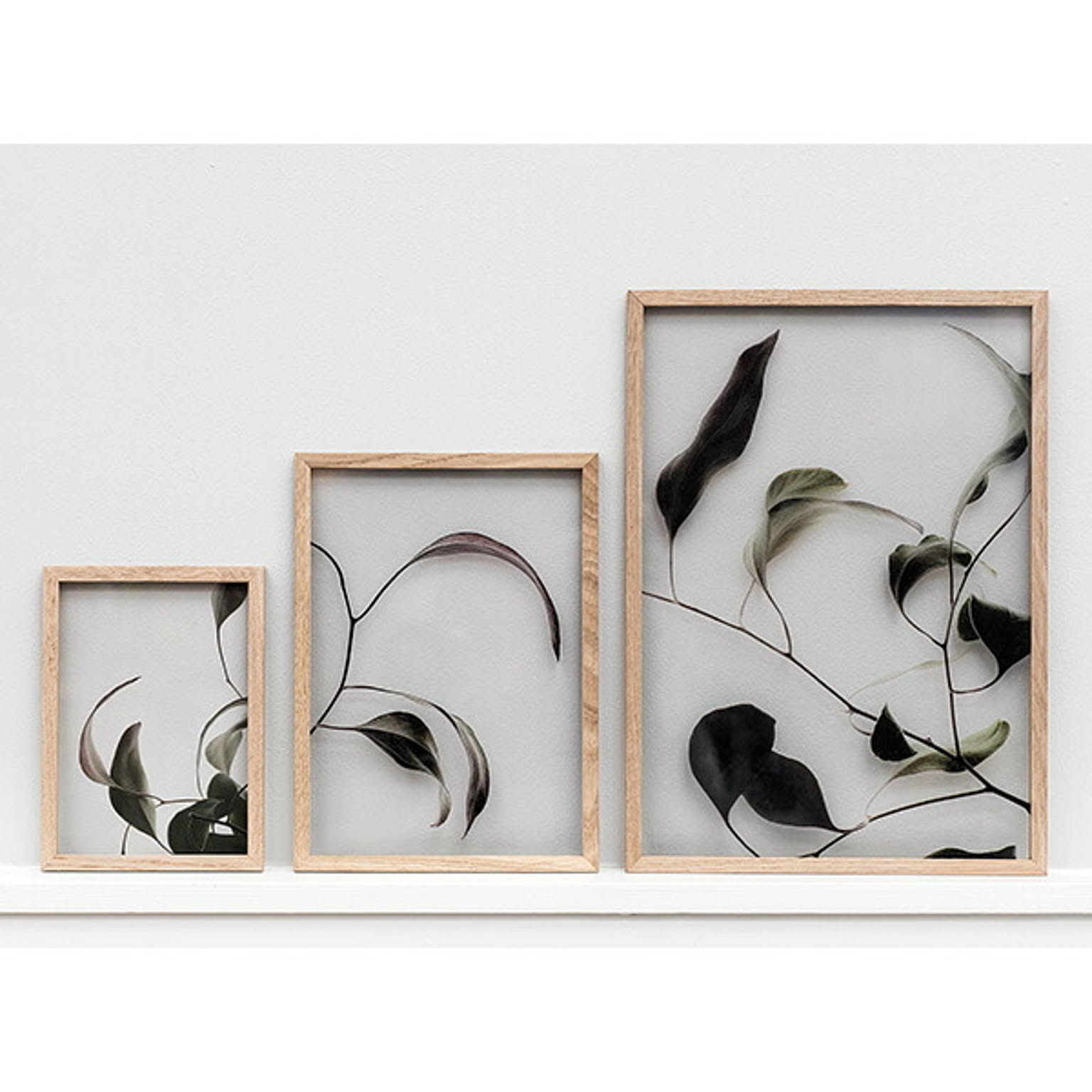 ポスター・ポスターフレーム