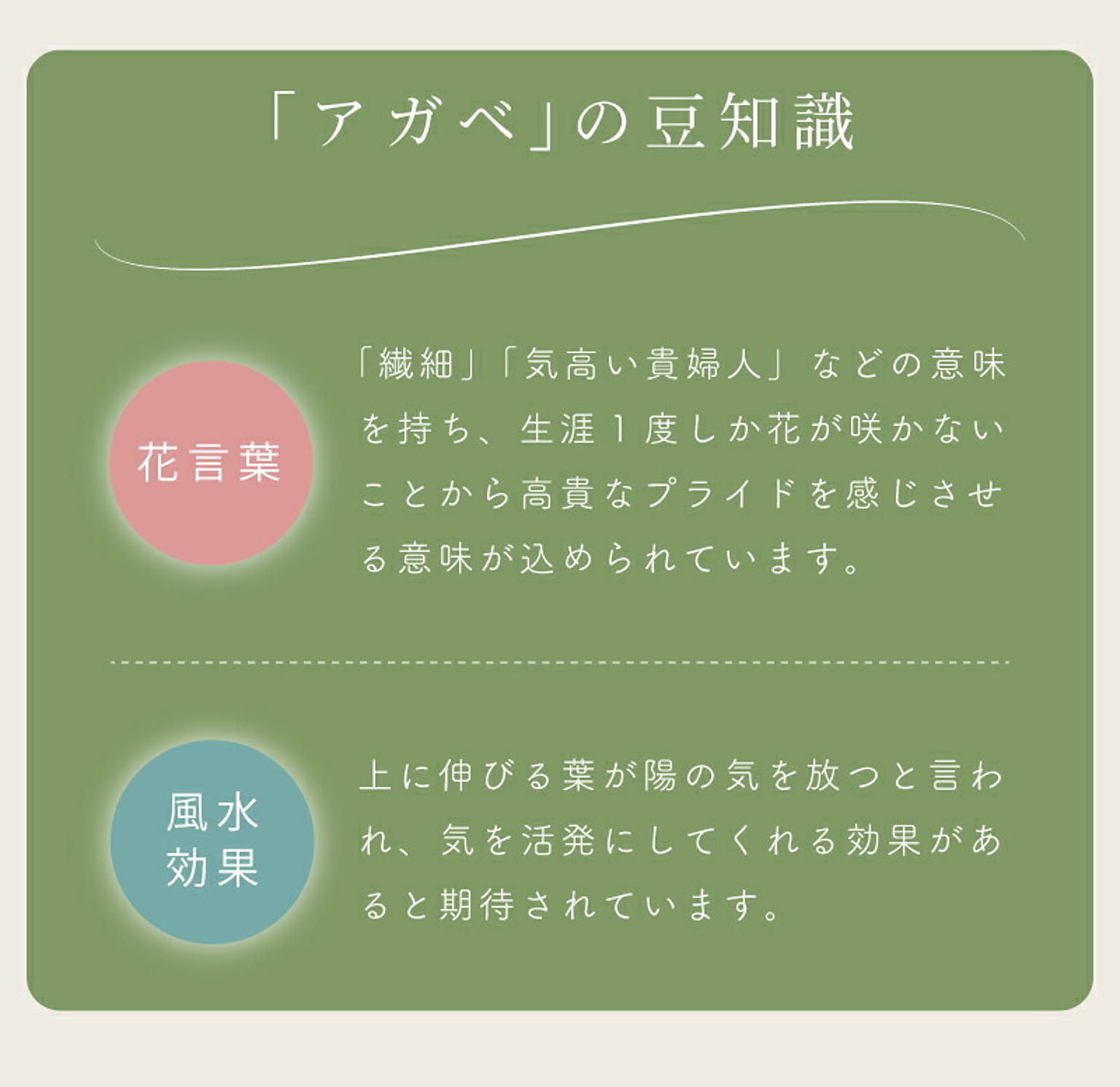 フェイクグリーン