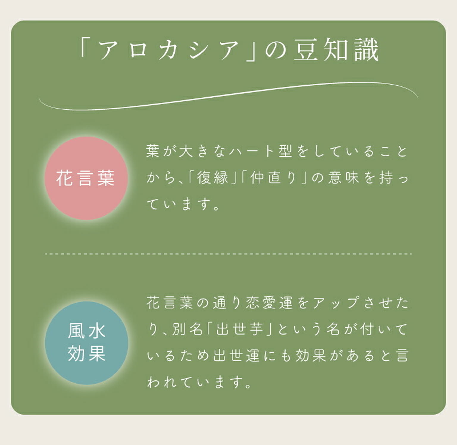 フェイクグリーン