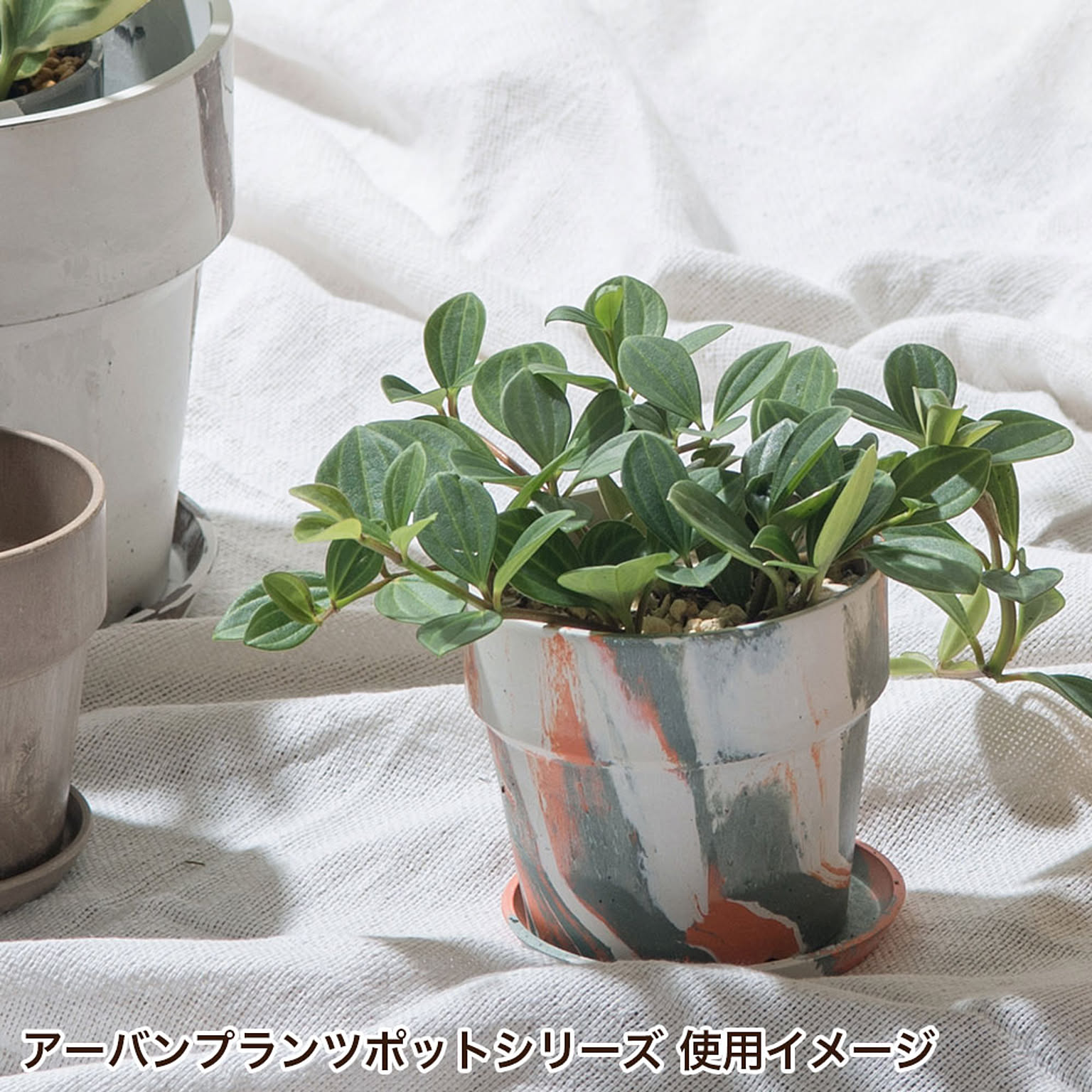 プランター・植木鉢