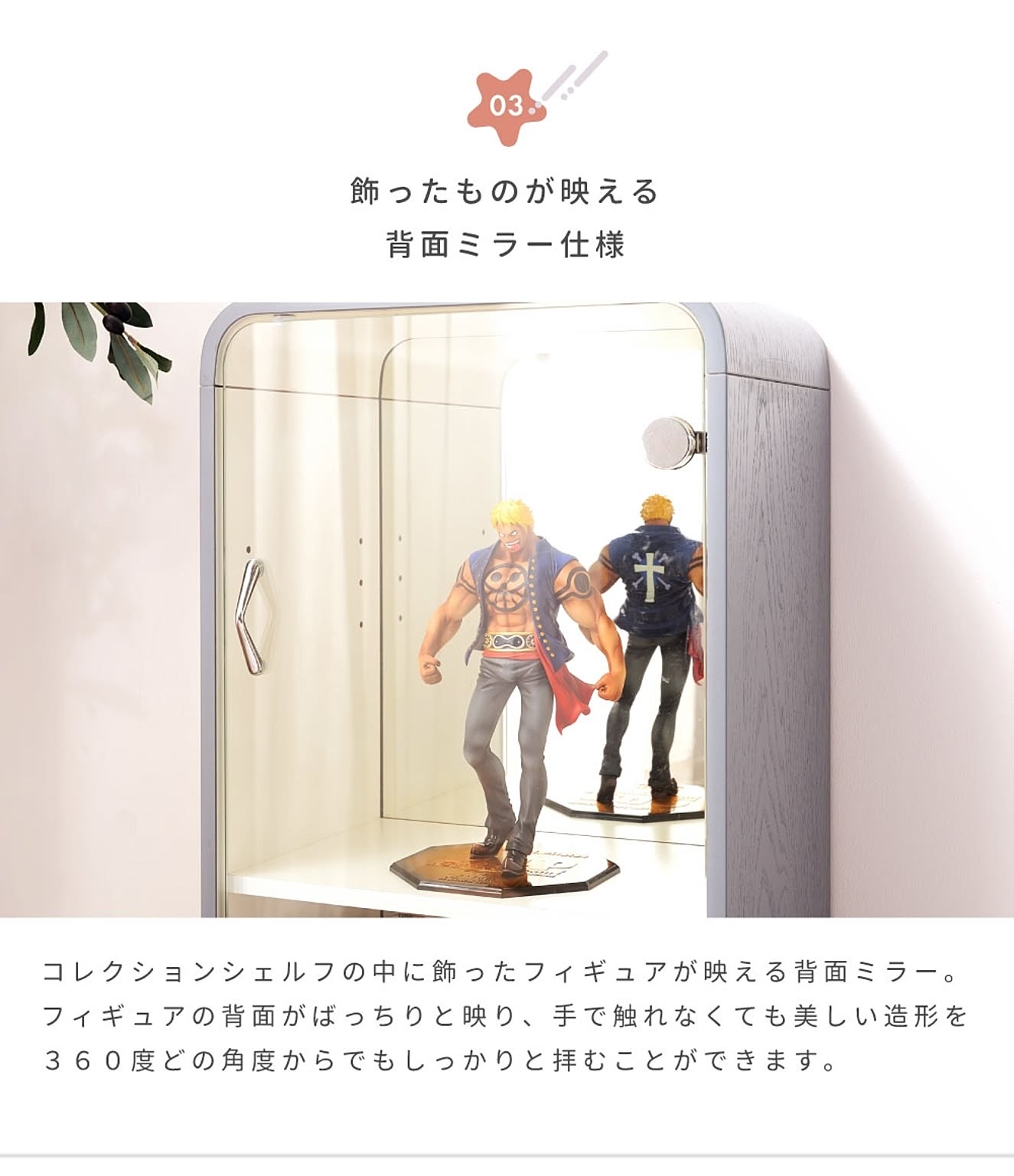 コレクションケース