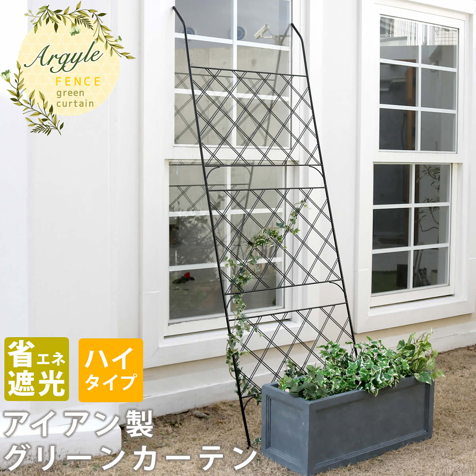 アイアン製グリーンカーテン アーガイル 【 フェンス アイアン グリーンフェンス ゴーヤ 薔薇 バラ 朝顔 庭 ベランダ ガーデニング 枠 柵 仕切り 目隠し 境目 アンティーク トレリス