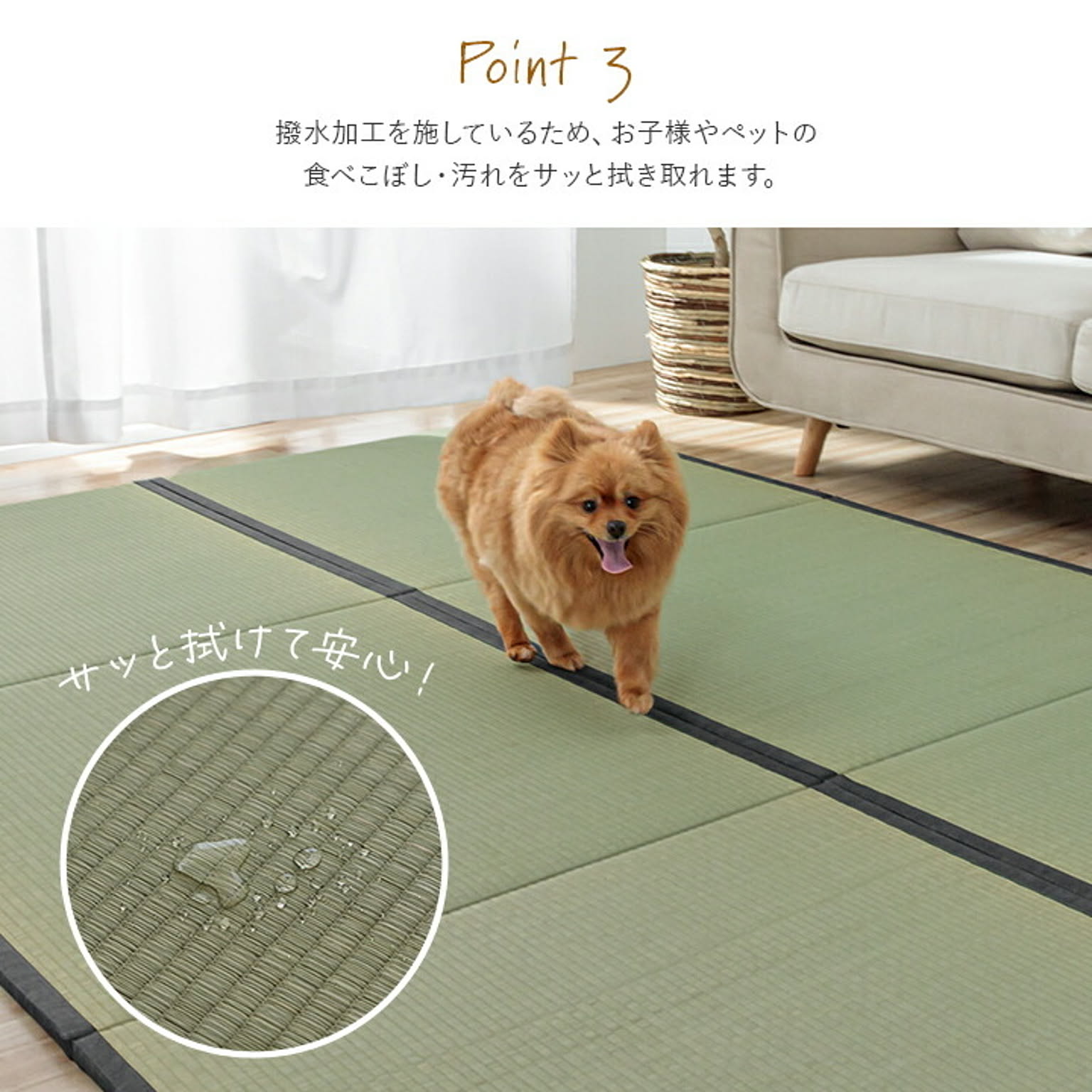 ござ・い草ラグ