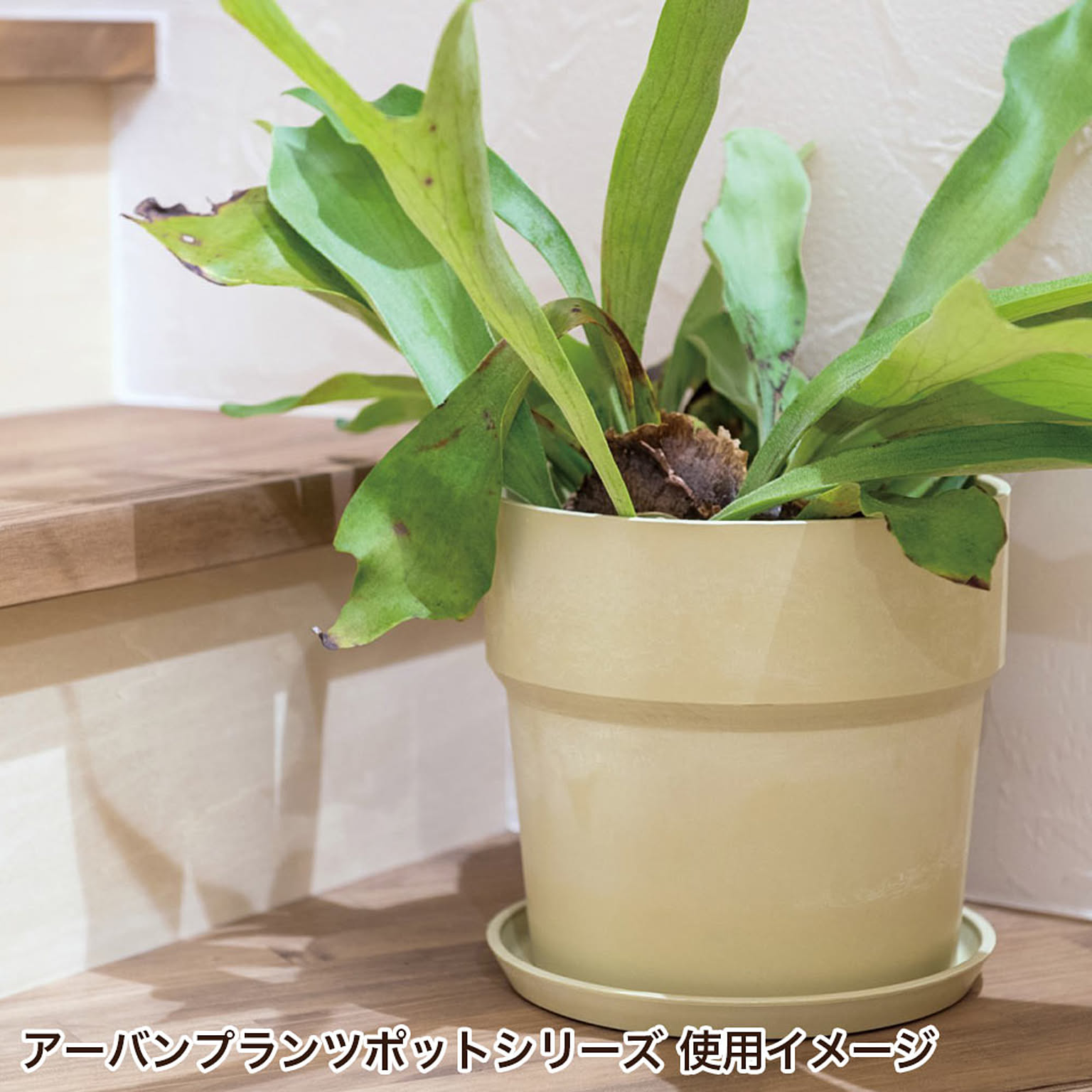 プランター・植木鉢