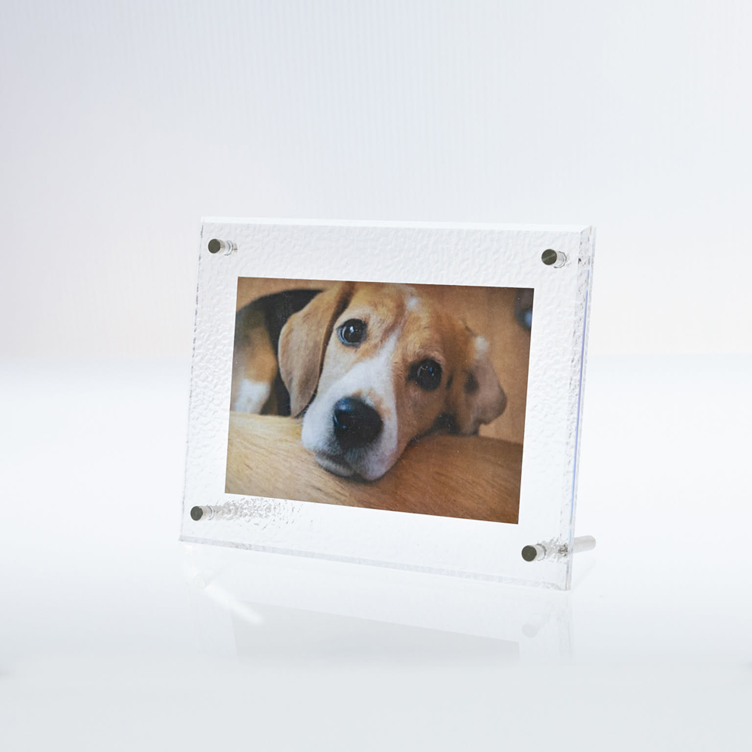 犬用インテリア・犬用家具