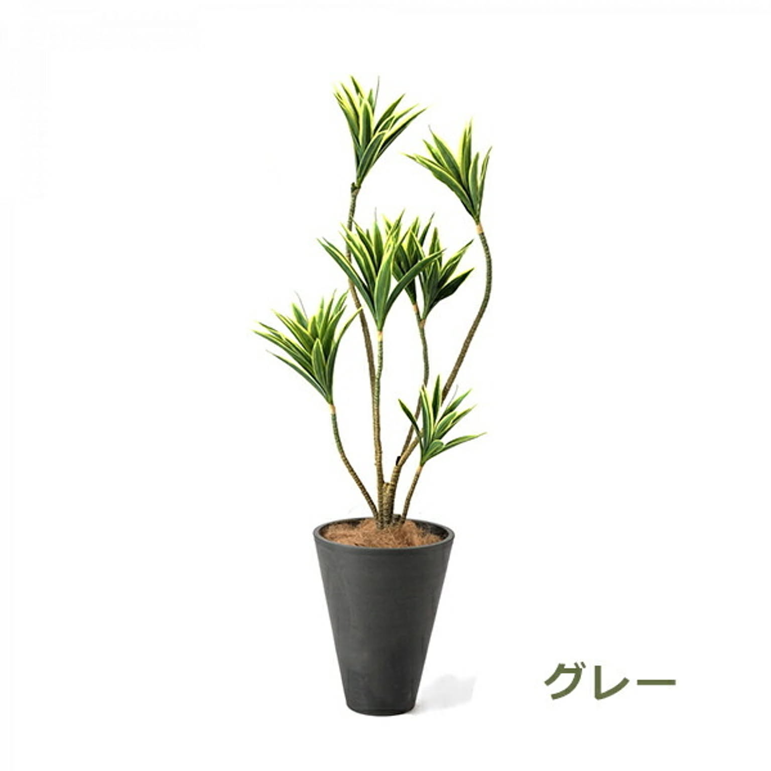フェイクグリーン