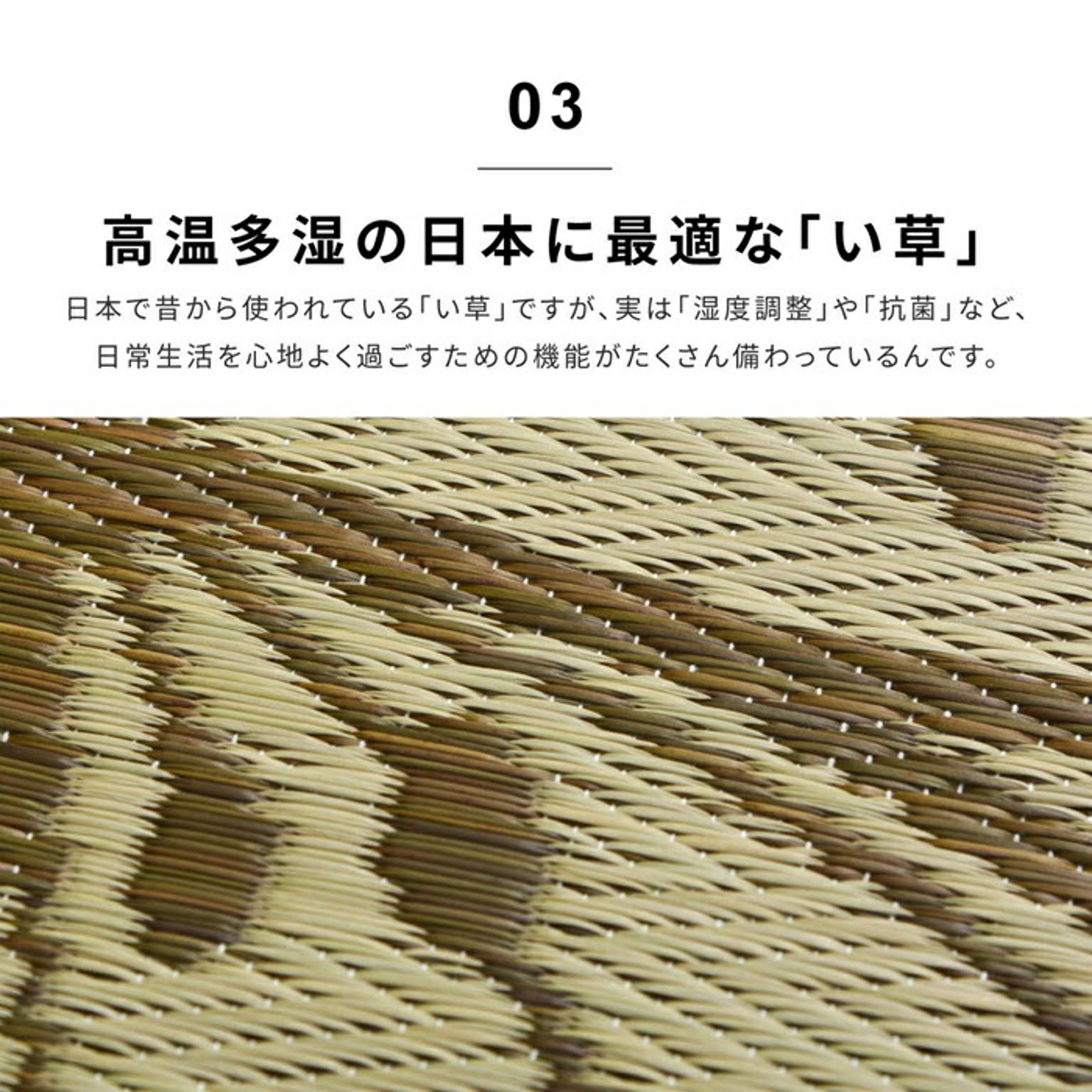 ござ・い草ラグ