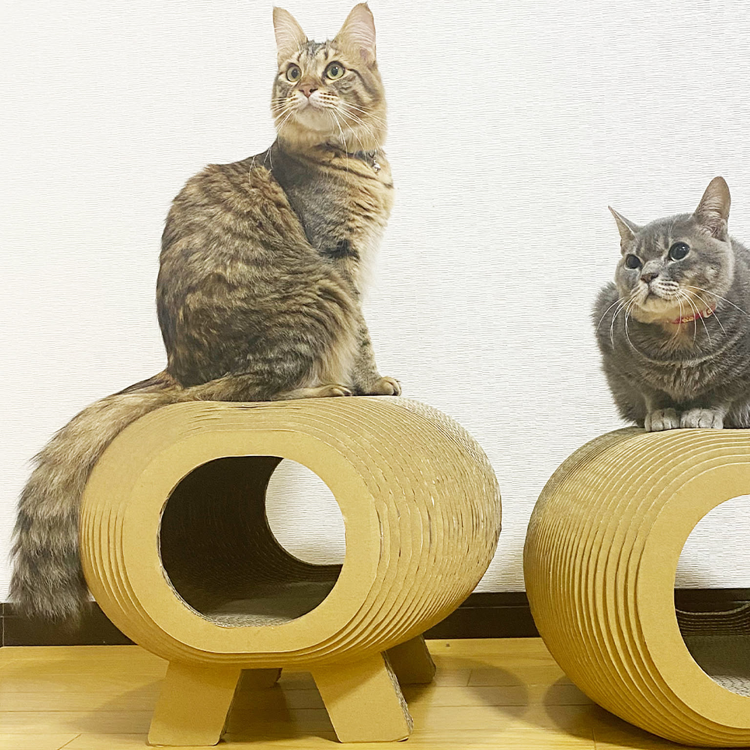 猫用インテリア・猫用家具