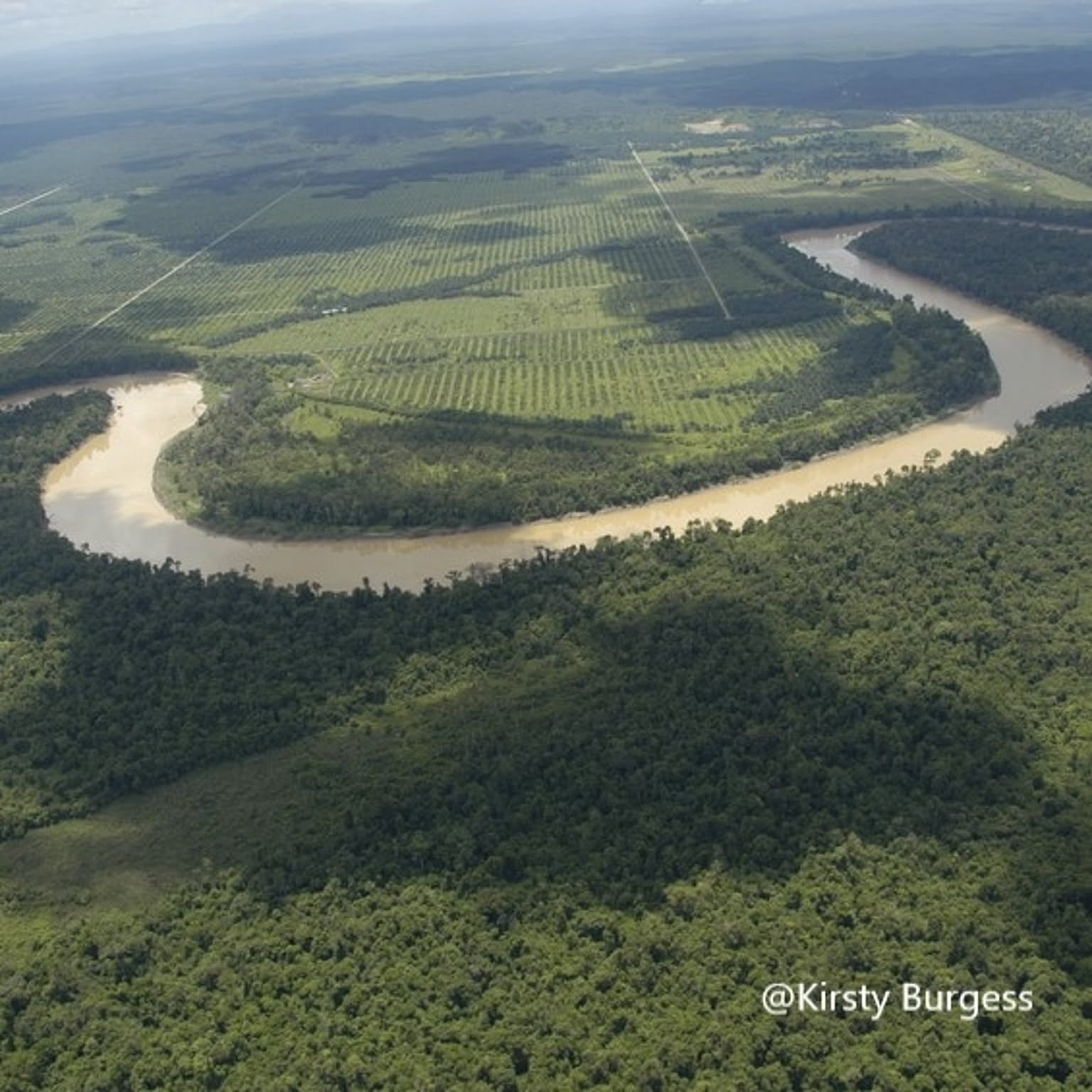 ふきん・ダスター