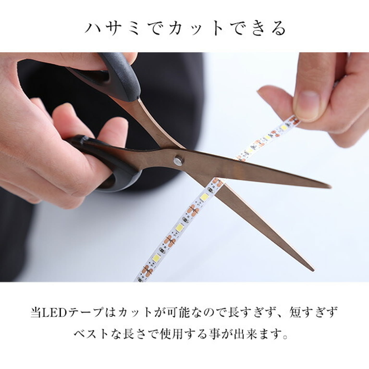コレクションケース