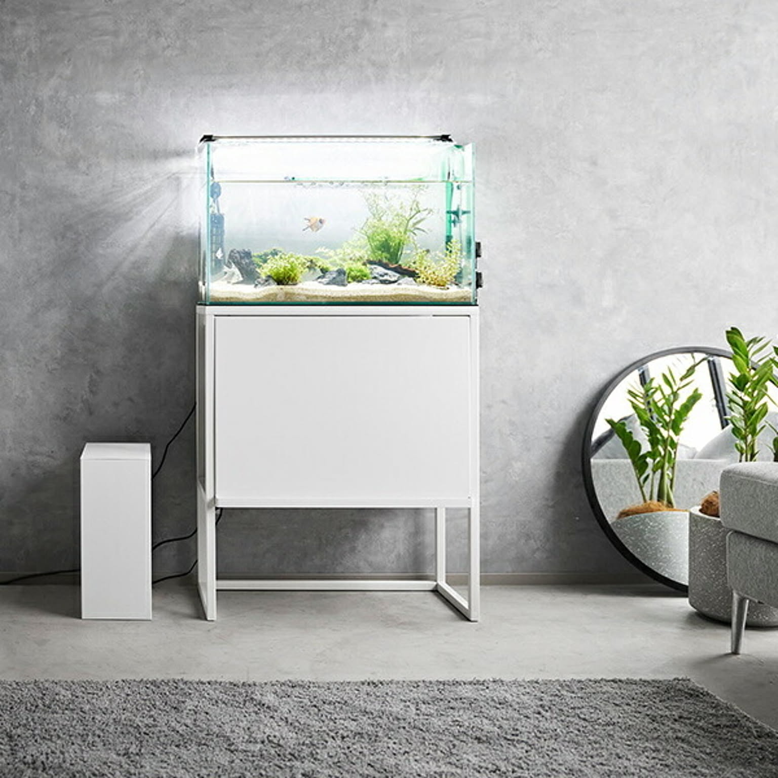 その他の動物のインテリア・その他の動物の家具