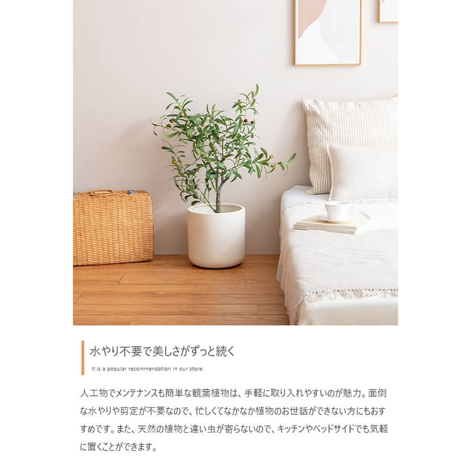 観葉植物