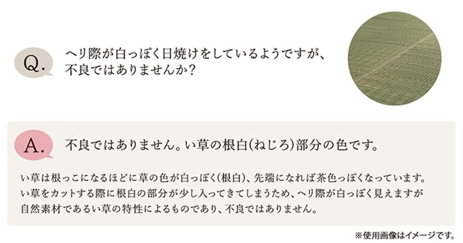 ござ・い草ラグ