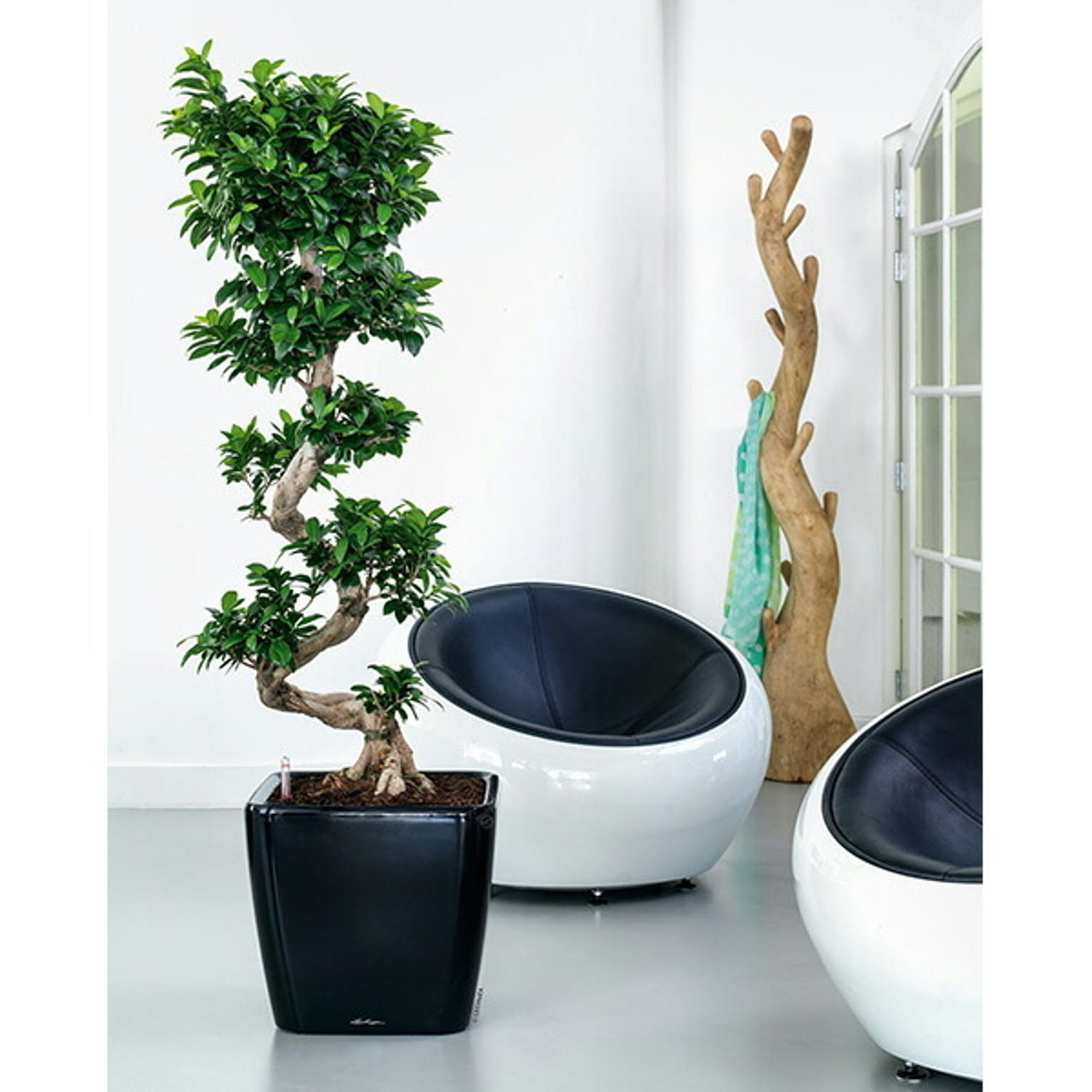 プランター・植木鉢