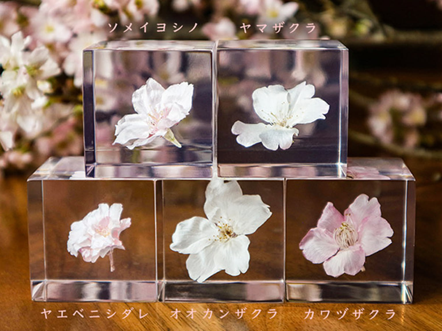 置物・オブジェ