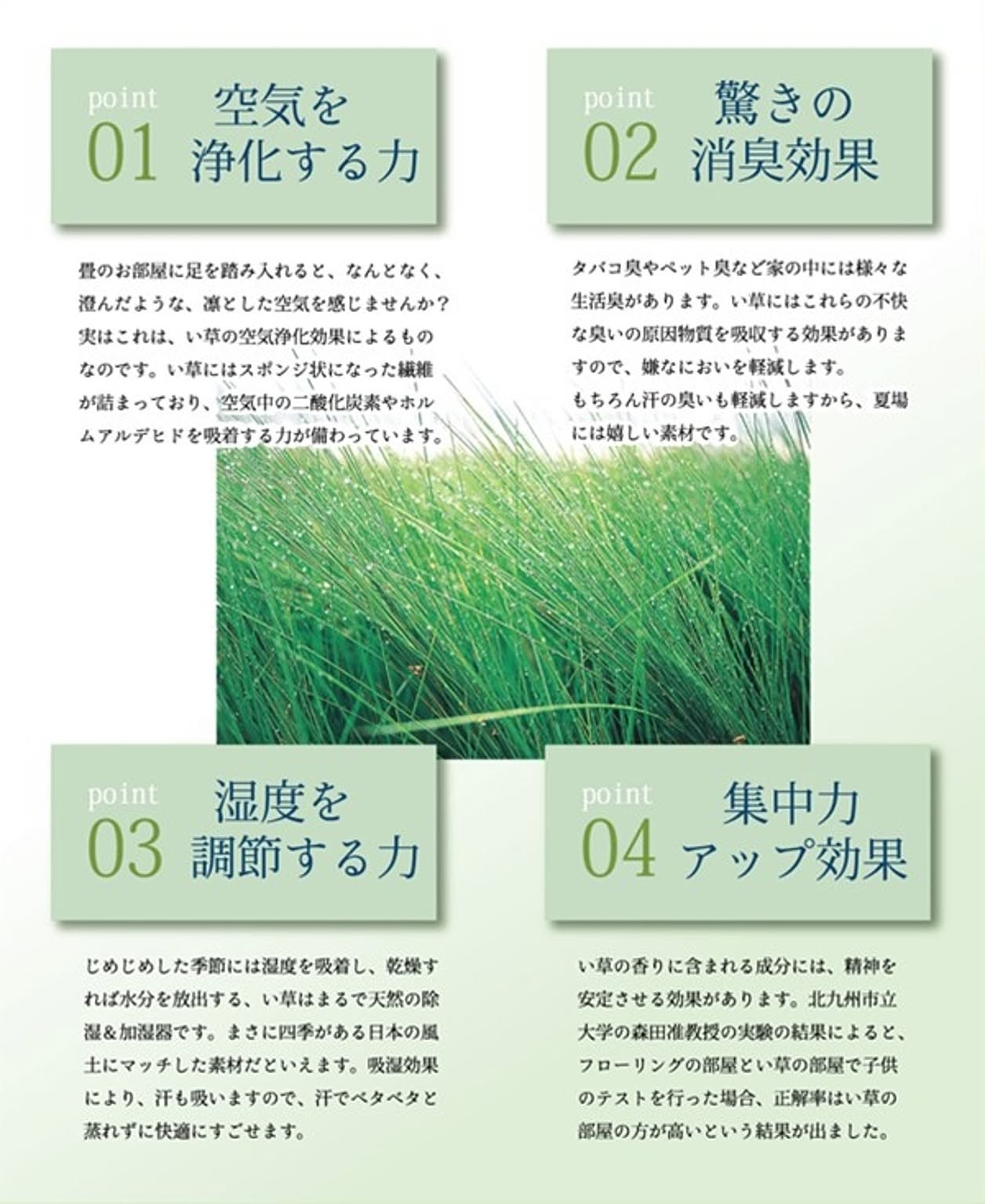 純国産 い草花ござカーペット ラグ 『銀河』 レッド 江戸間2畳(約174×174cm) 4105502 純国産 い草花ござカーペット ラグ 『銀河』 レッド 江戸間2畳(約174×174cm) 4105502