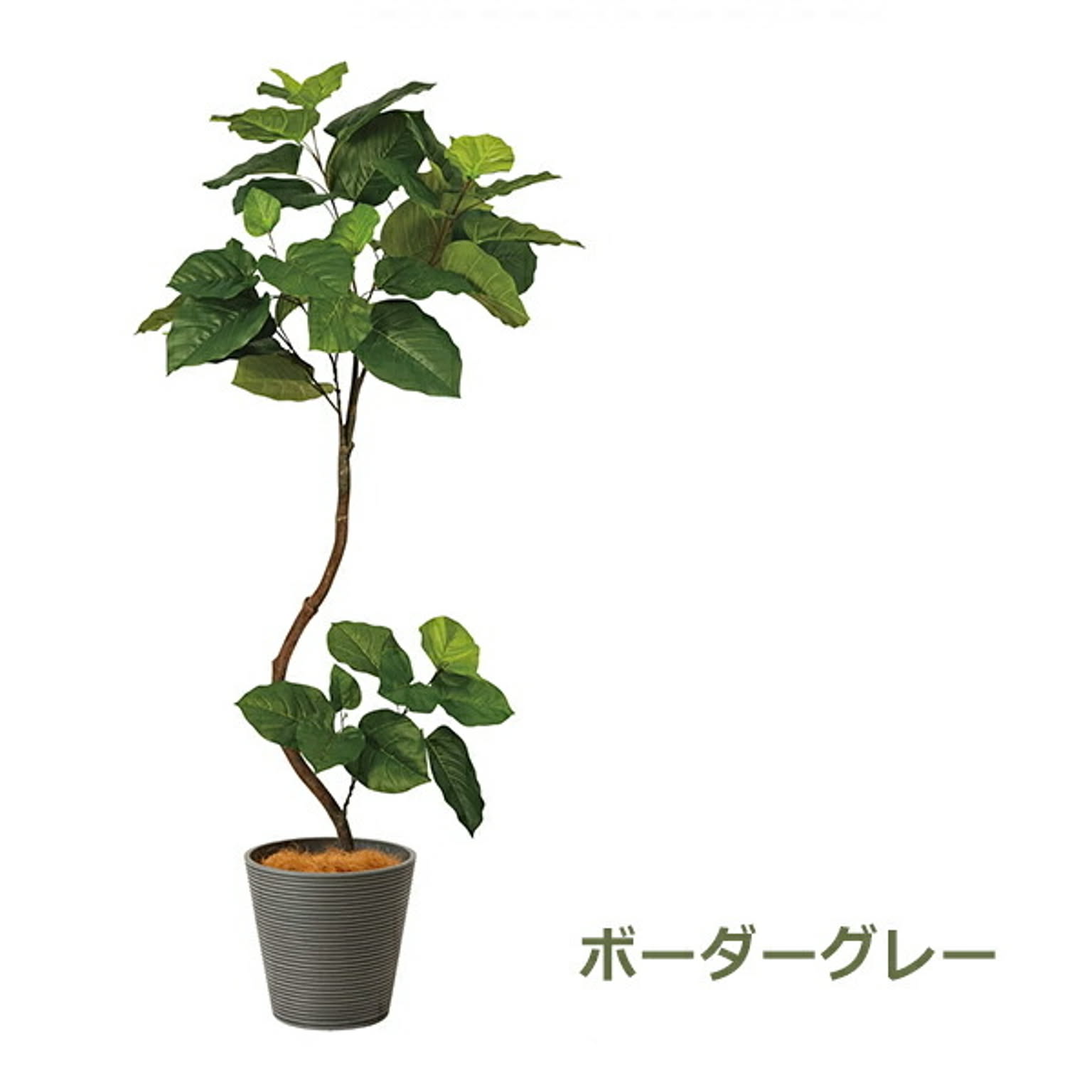 GREENPARK ツイストウンベラータ GWプランター H164cm eco PRGR-1268 プリマ