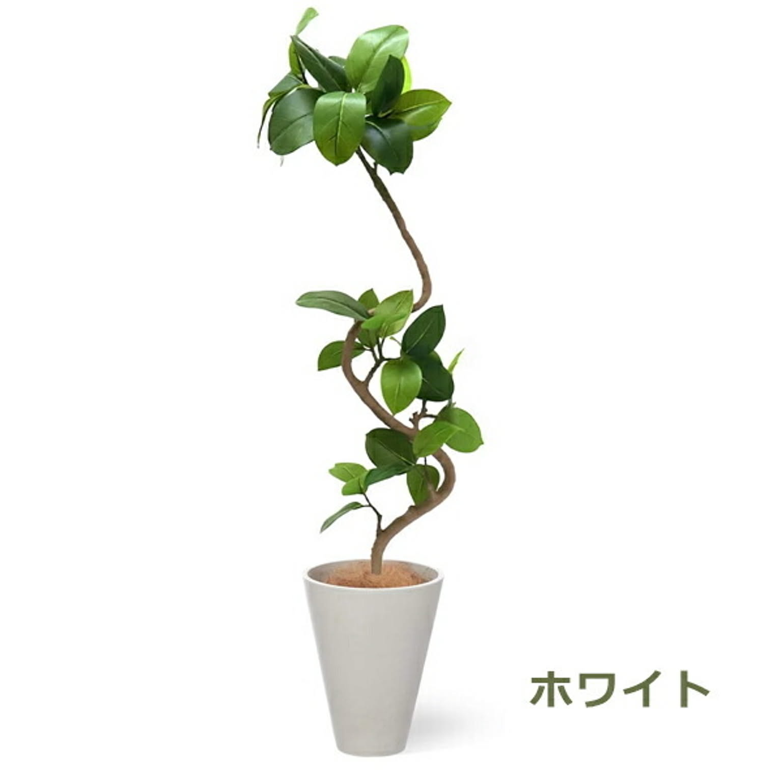 フェイクグリーン