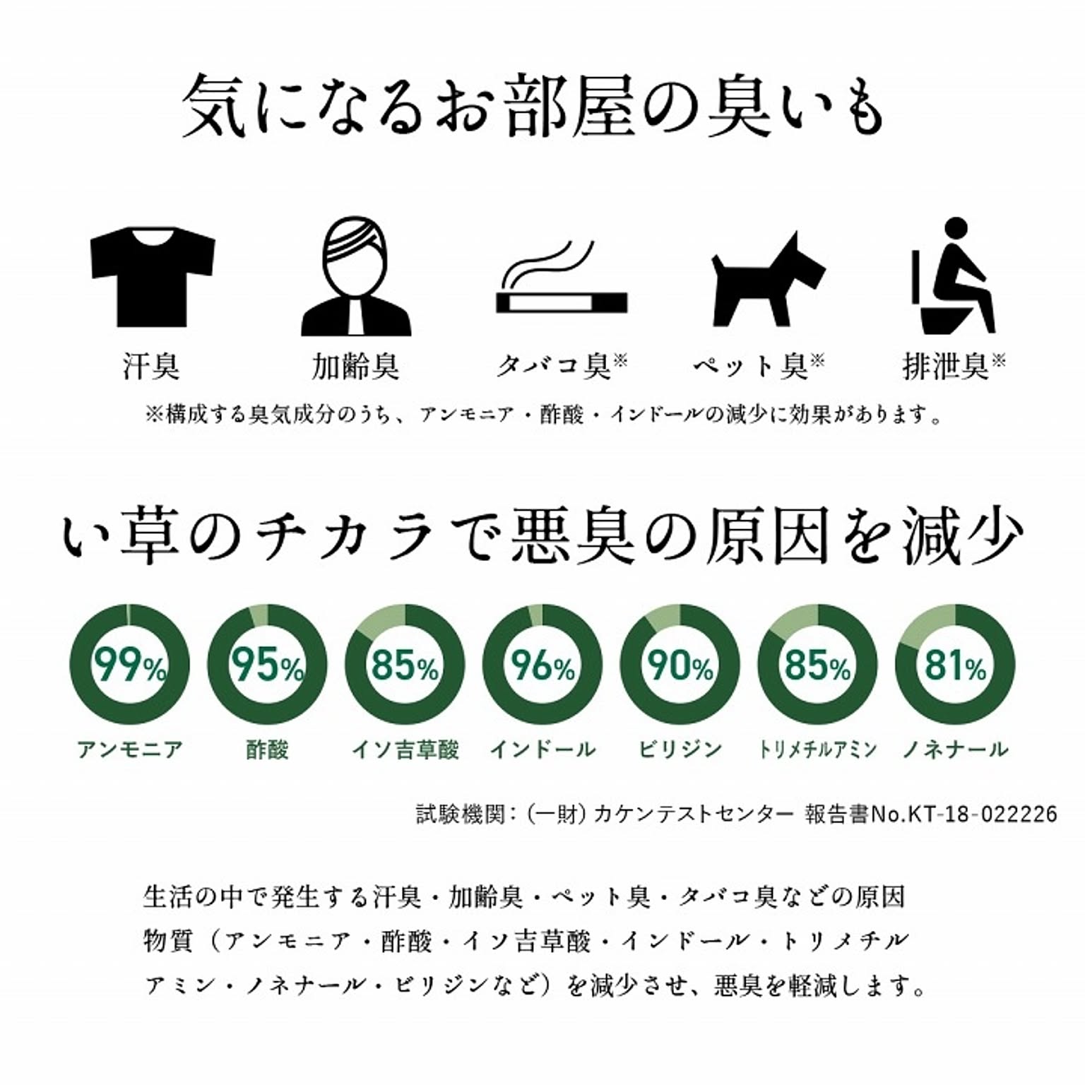 ござ・い草ラグ