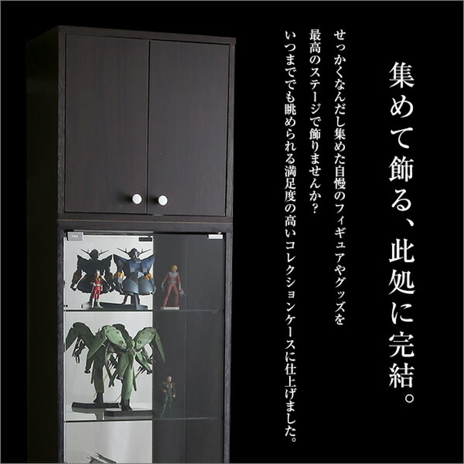 コレクションケース