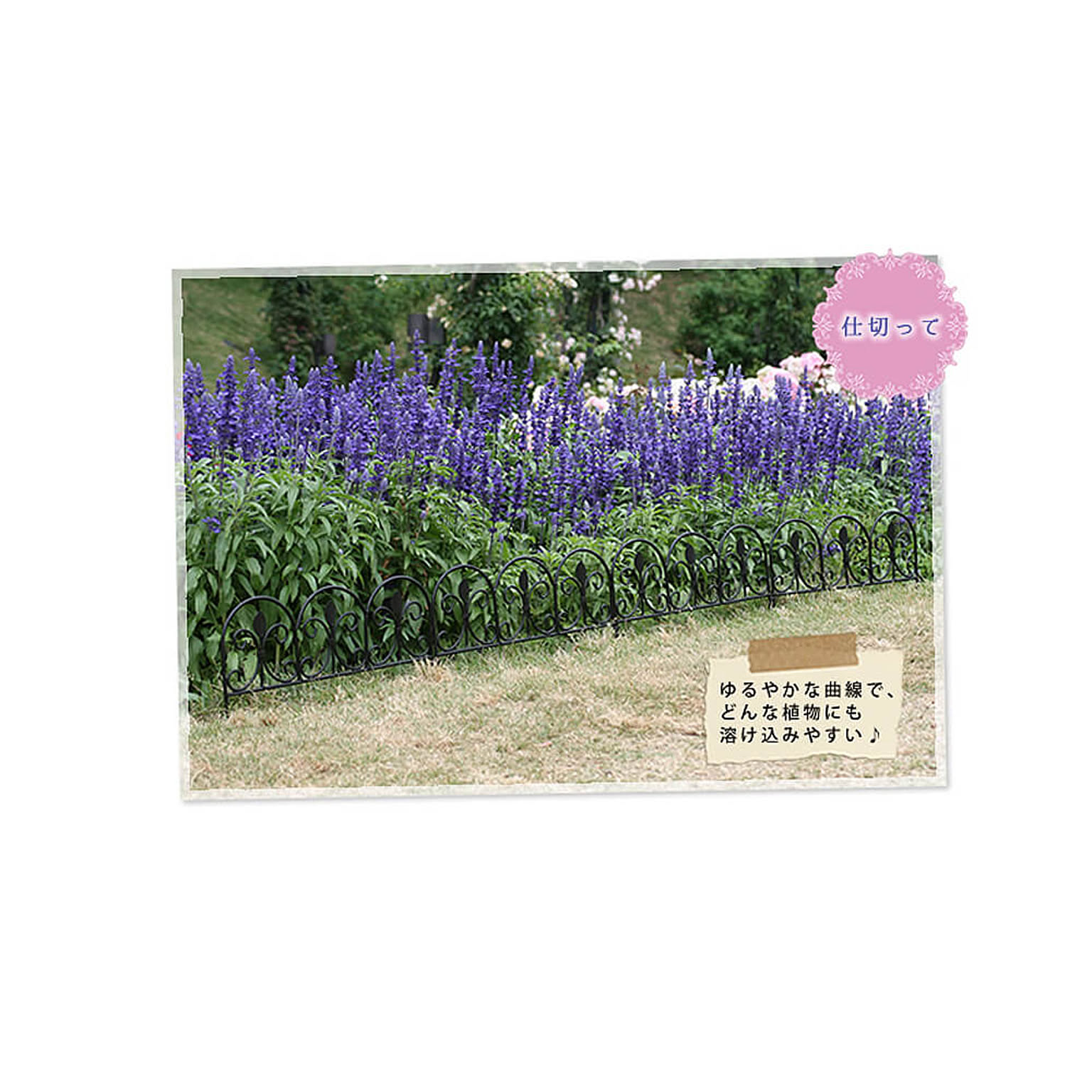 エクステリア
