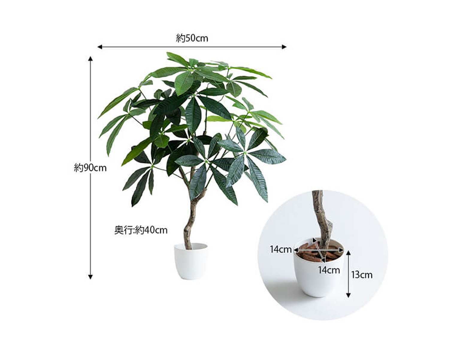 観葉植物