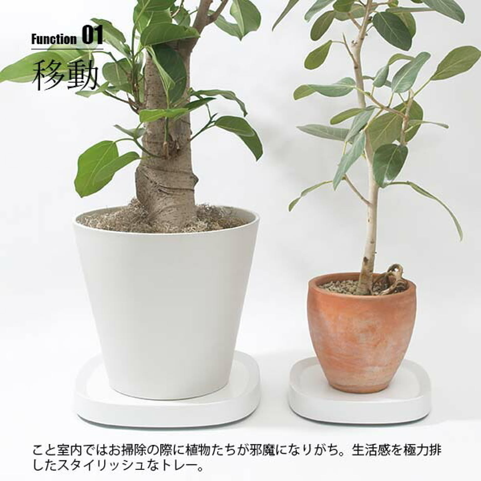 プランター・植木鉢