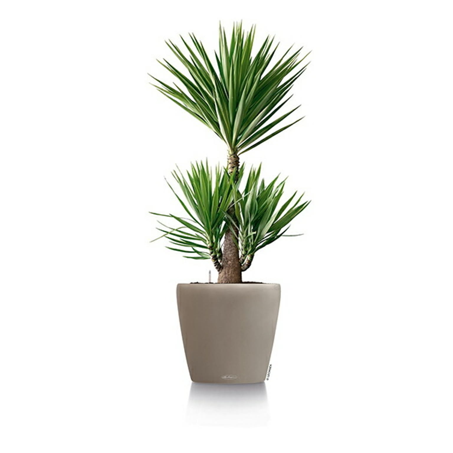 プランター・植木鉢