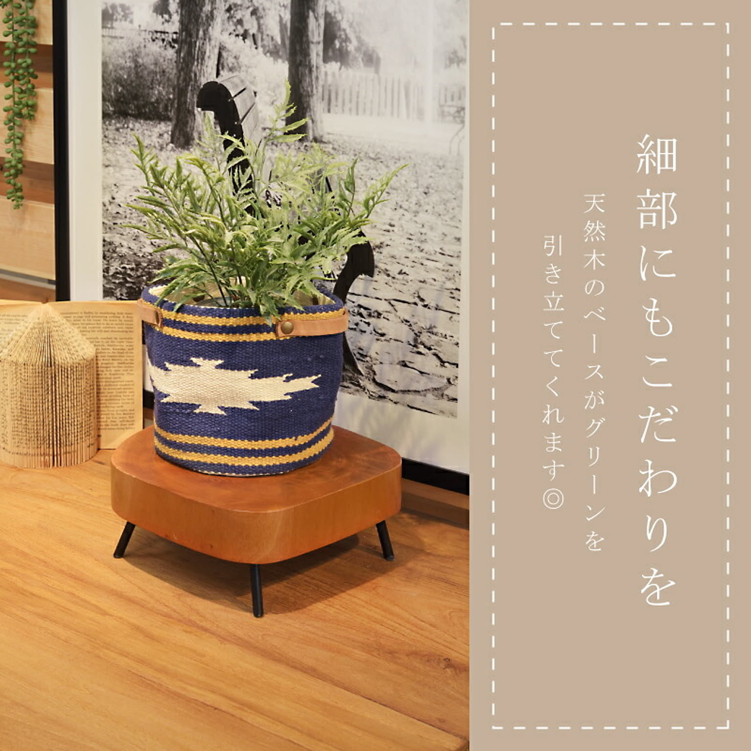 プランター・植木鉢