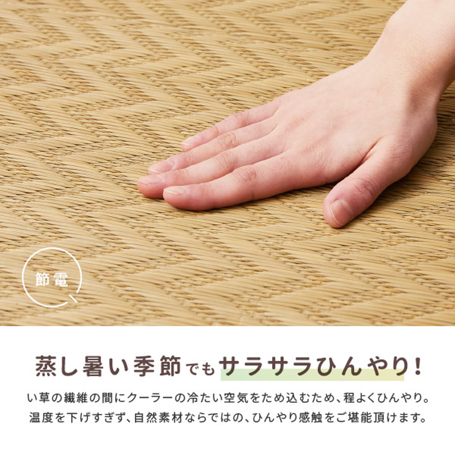 ござ・い草ラグ