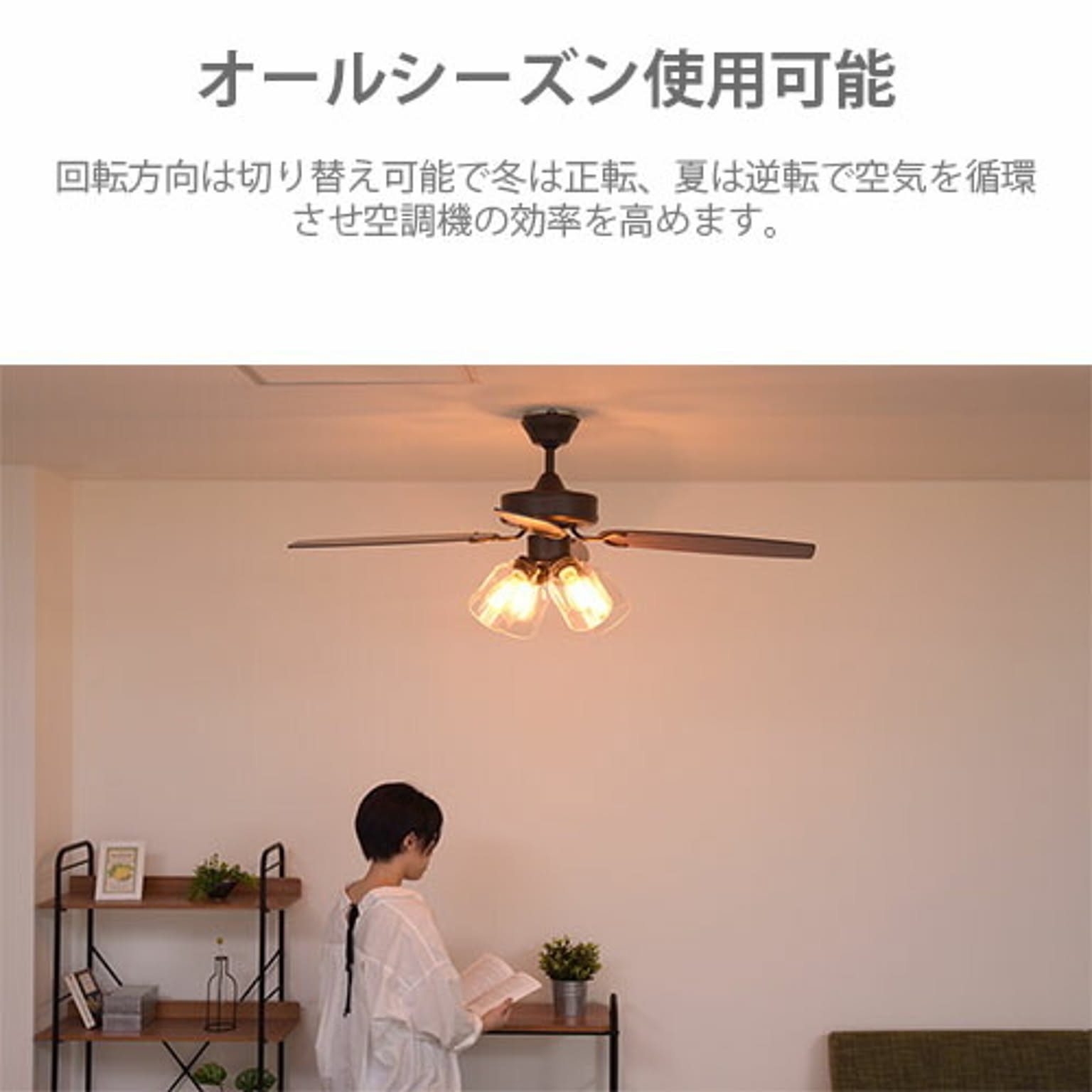 シーリングファンライト