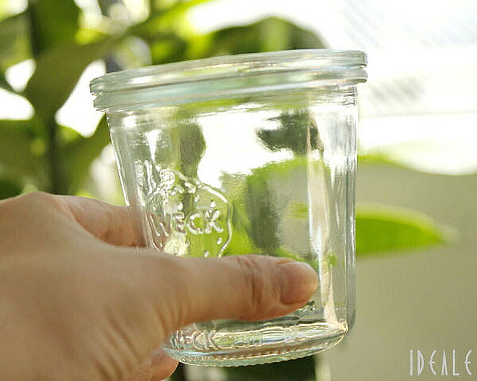 保存容器・キャニスター