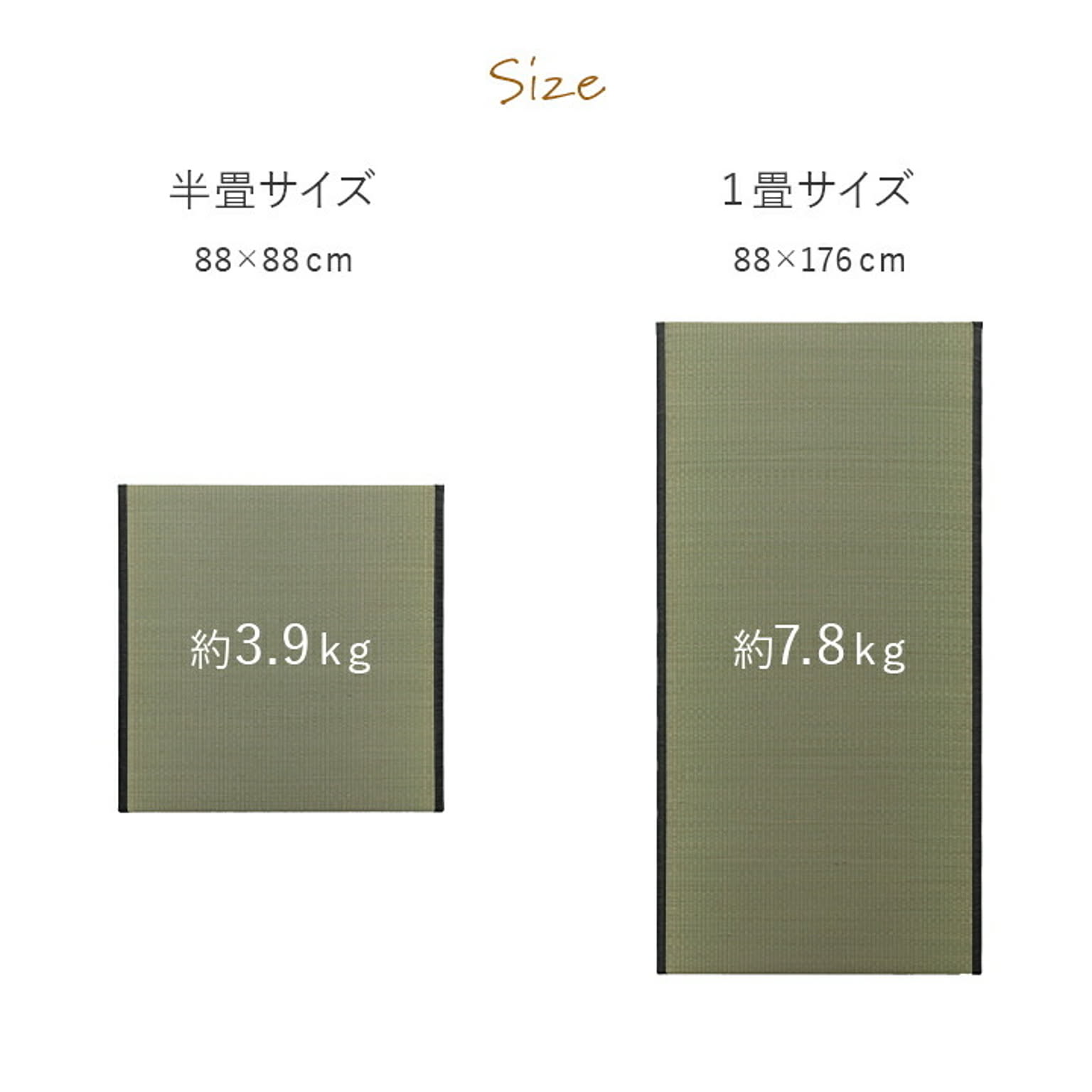 ござ・い草ラグ