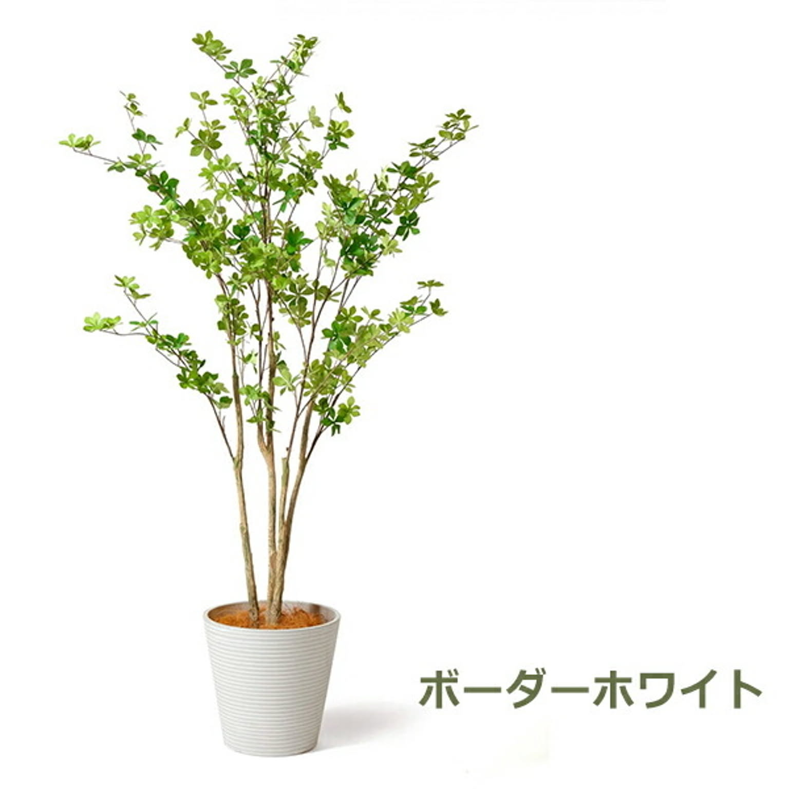 フェイクグリーン