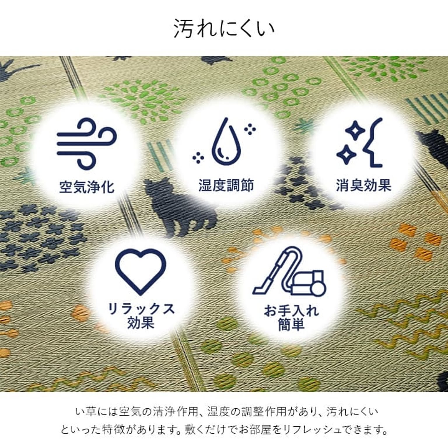 ござ・い草ラグ