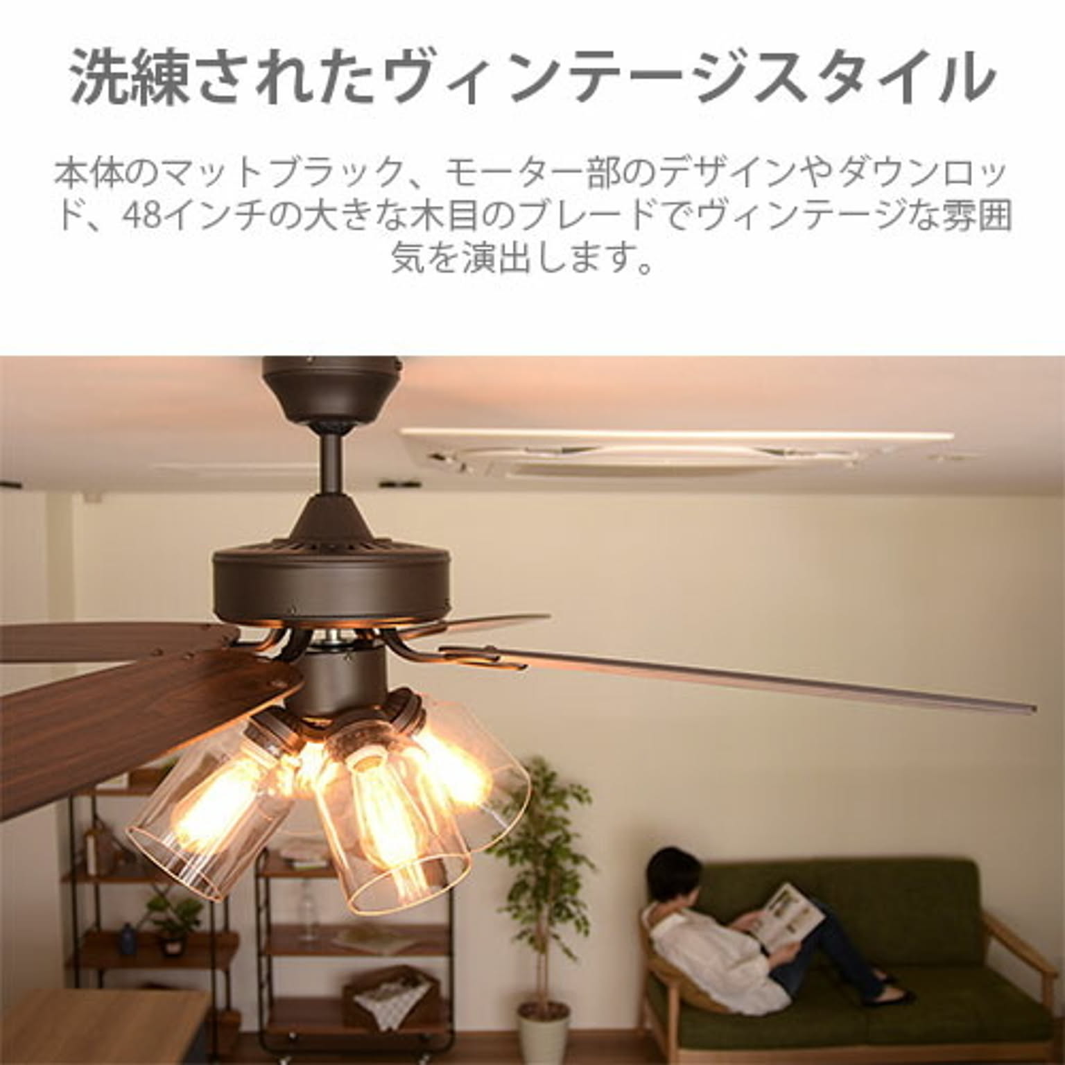 シーリングファンライト
