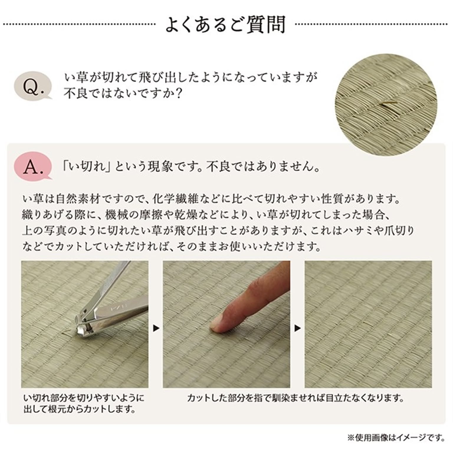 ござ・い草ラグ