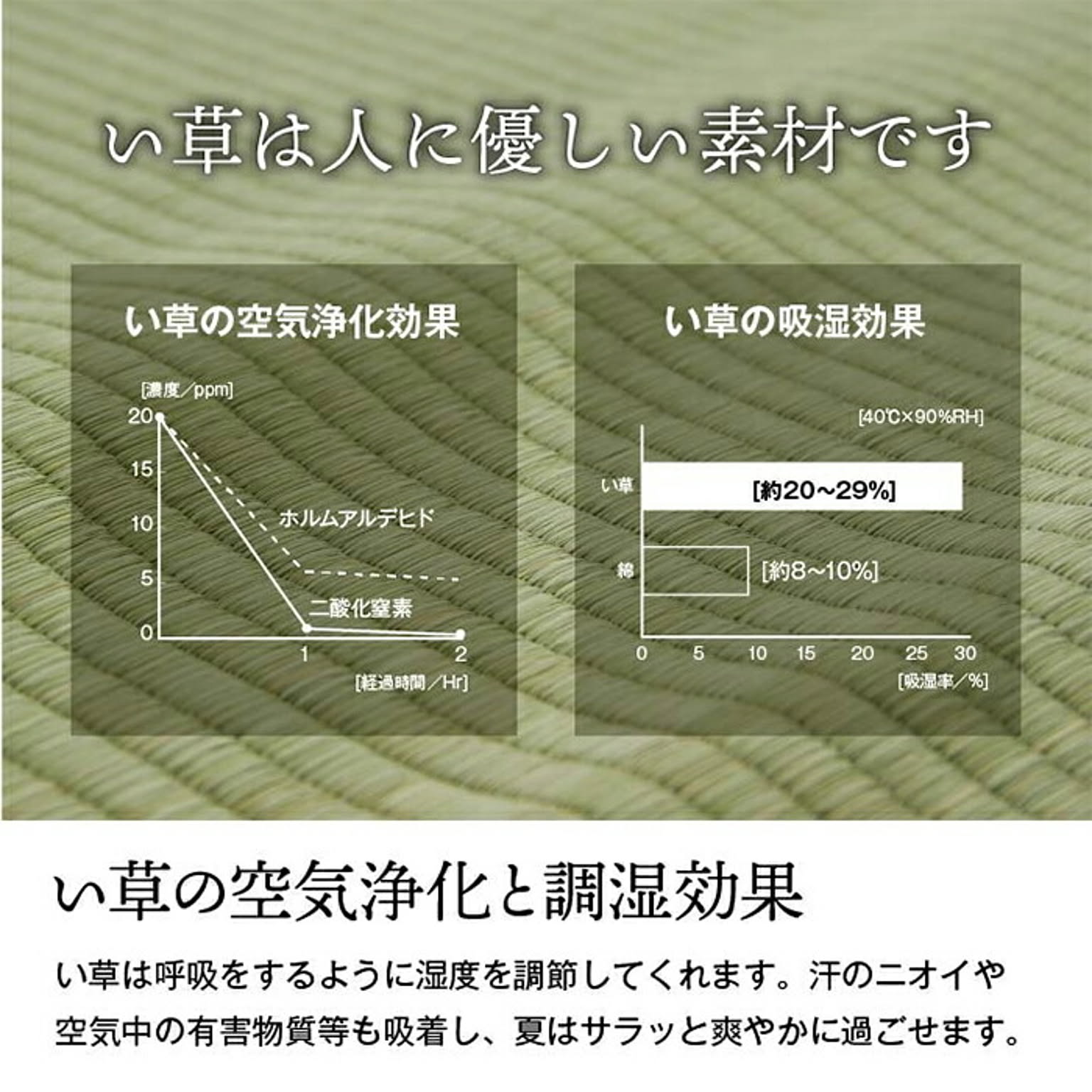 ござ・い草ラグ