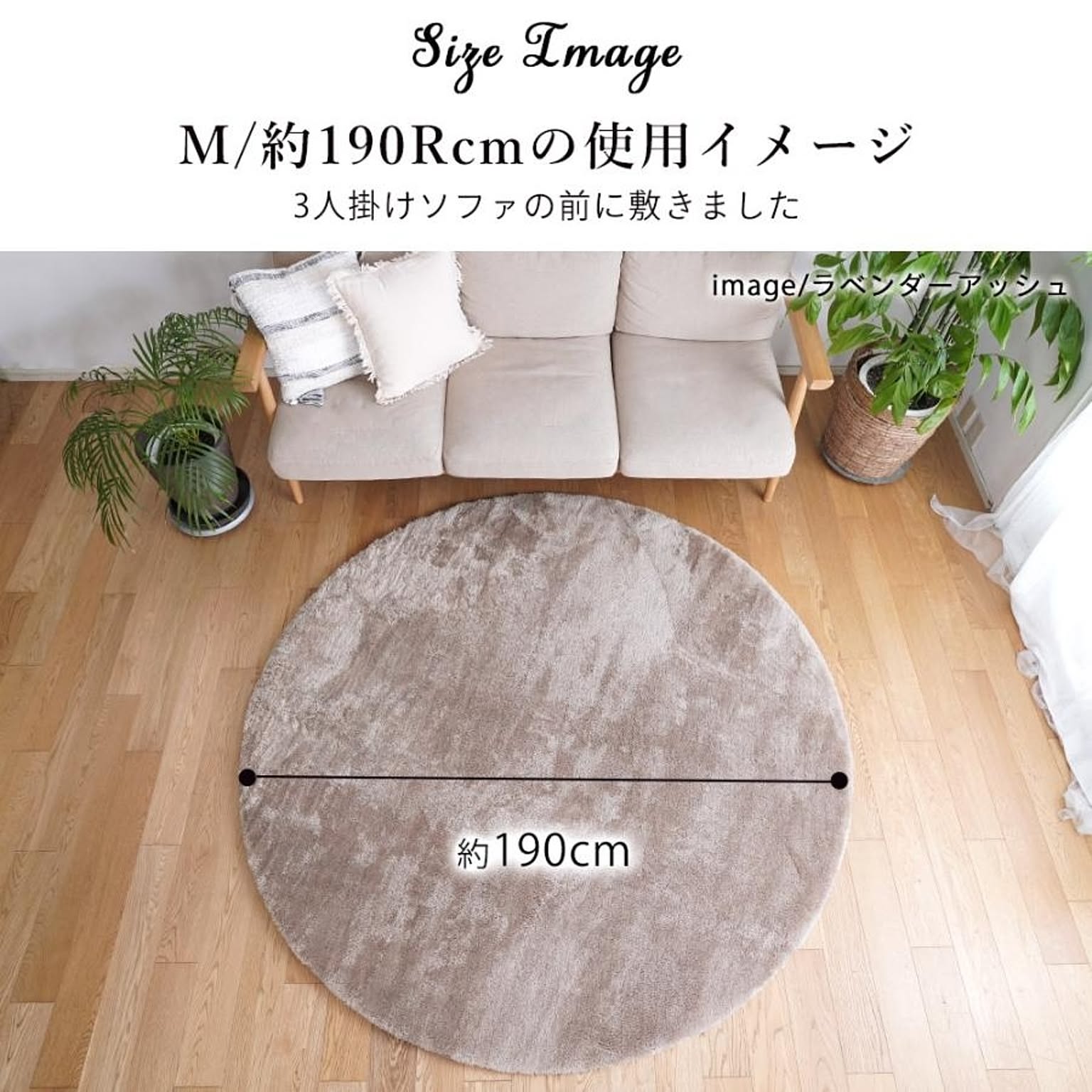ラグ
