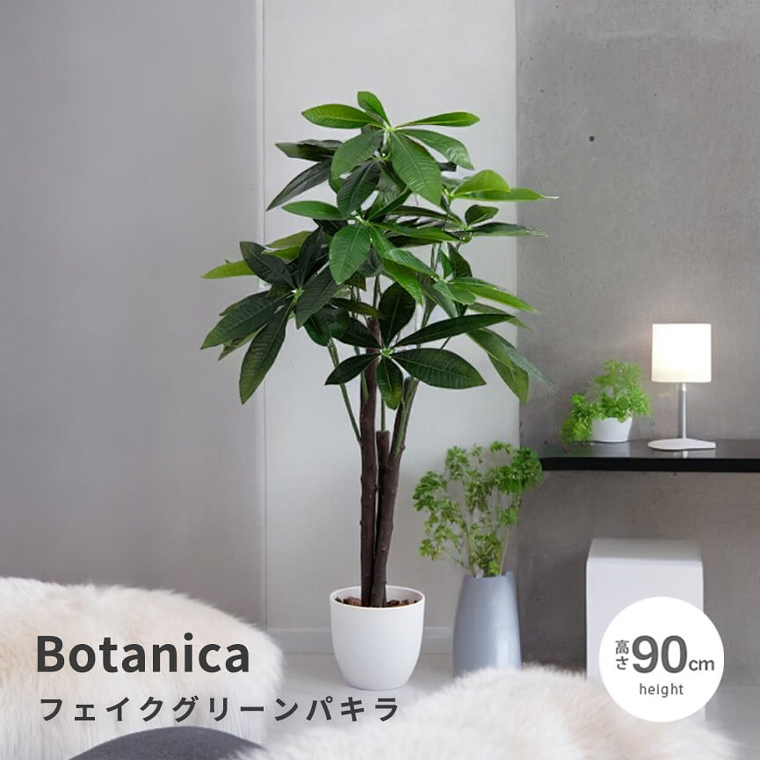 観葉植物