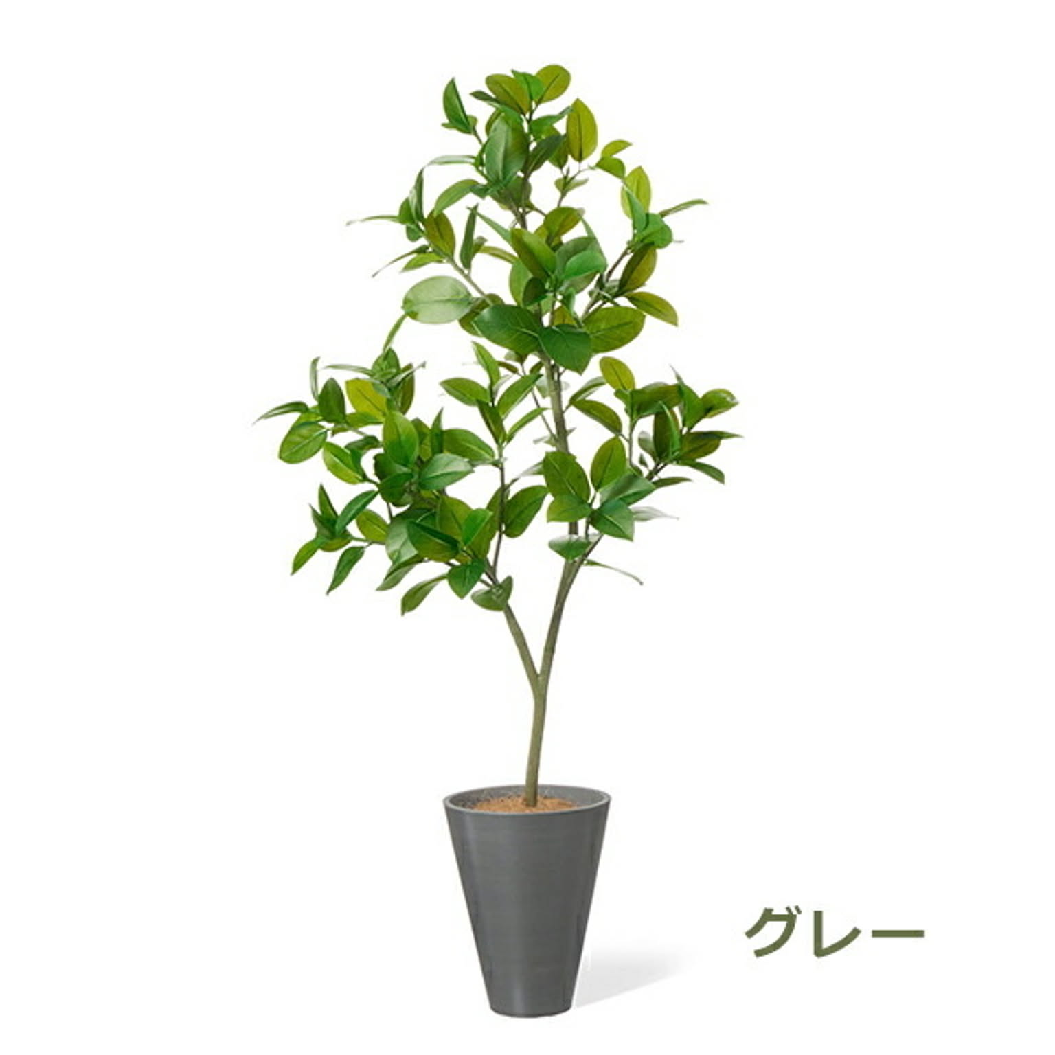 フェイクグリーン