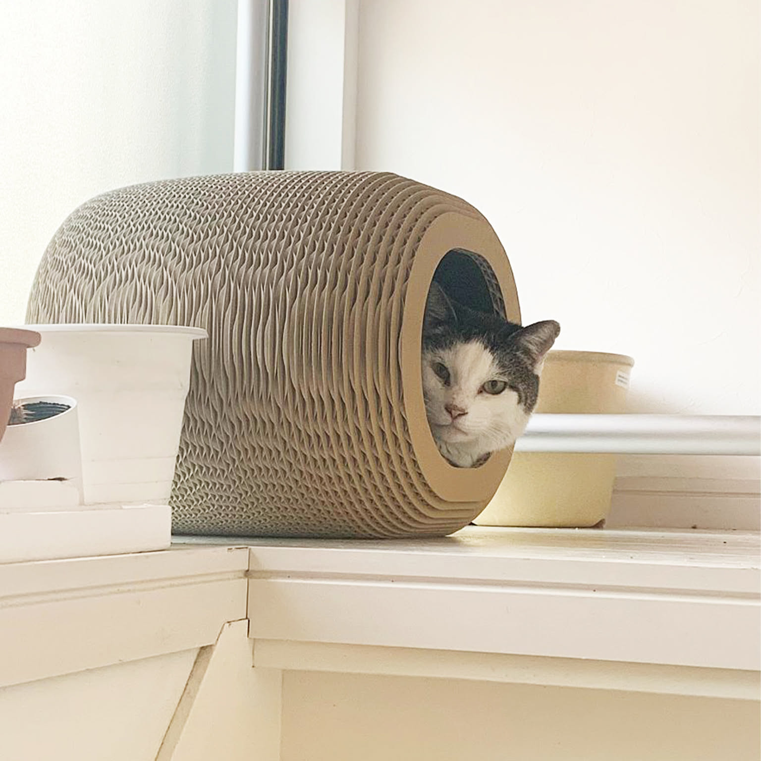 猫用インテリア・猫用家具