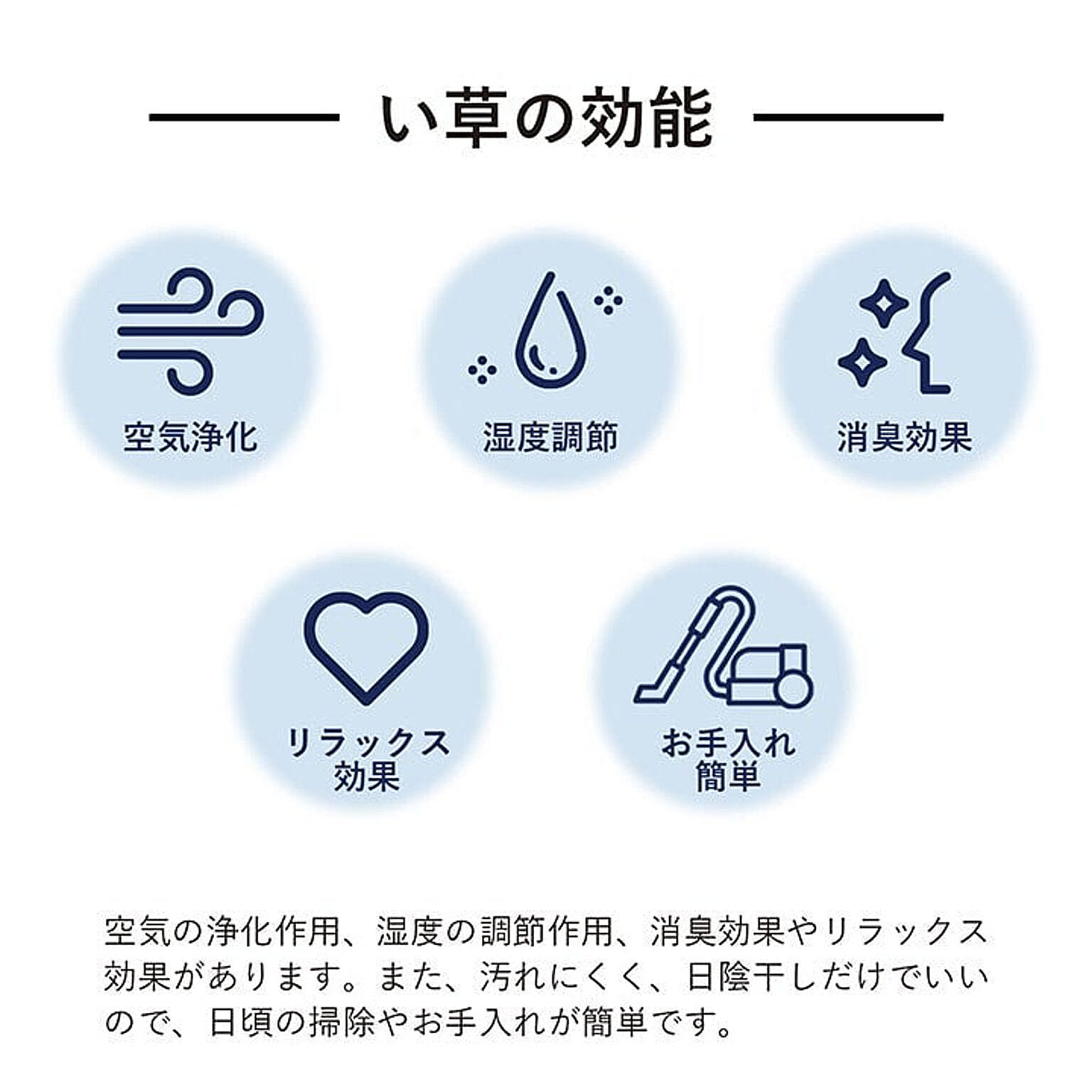 ござ・い草ラグ