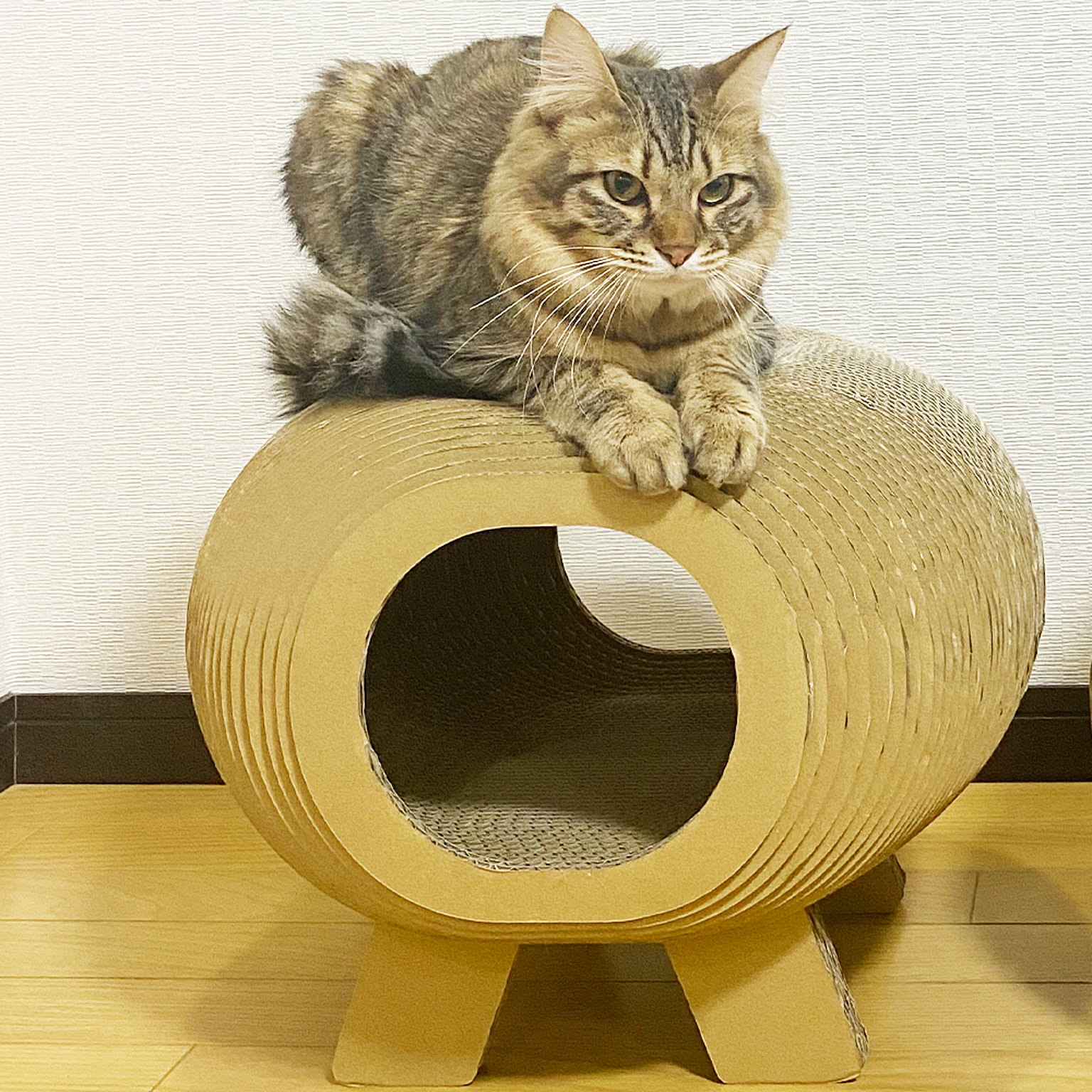 猫用インテリア・猫用家具