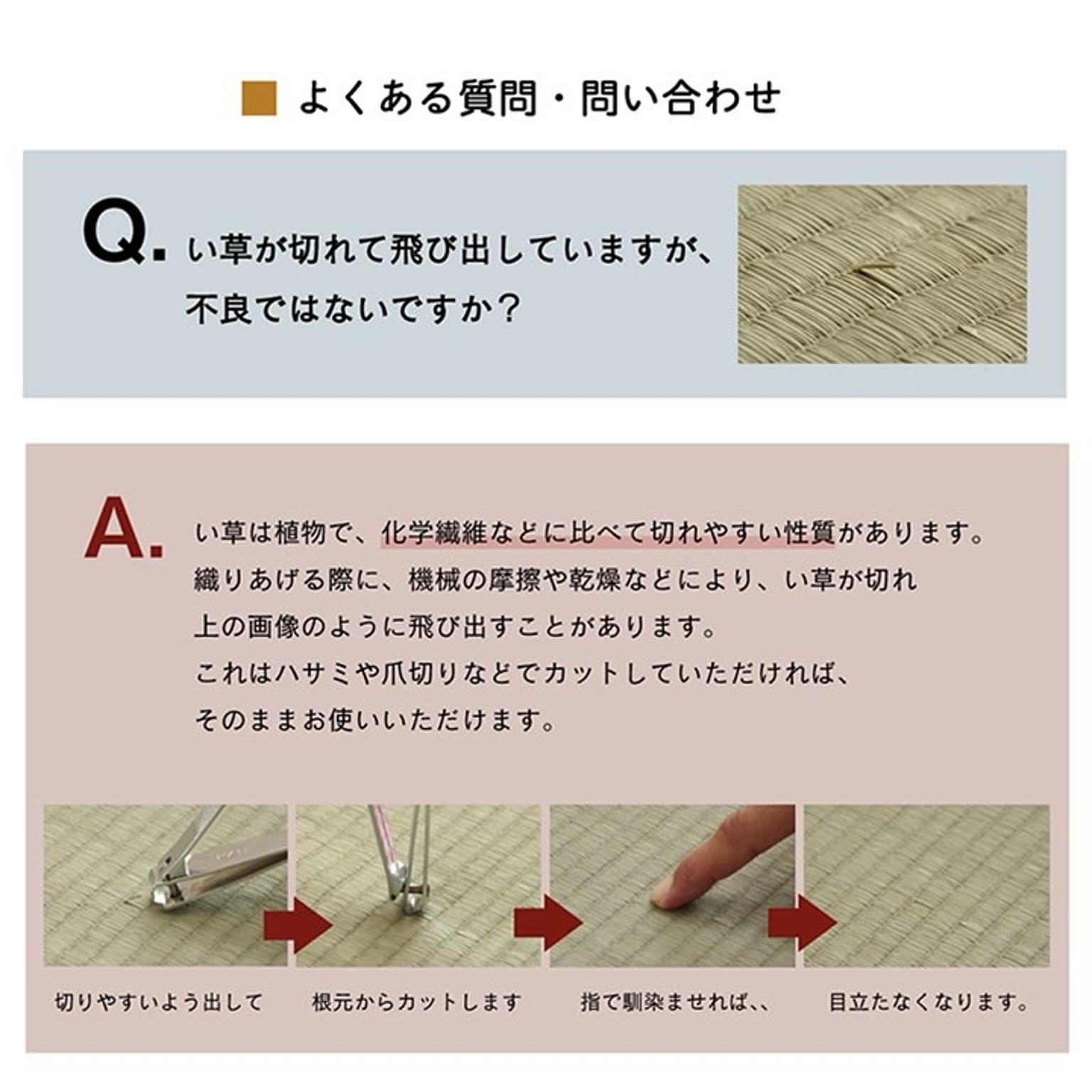 ござ・い草ラグ