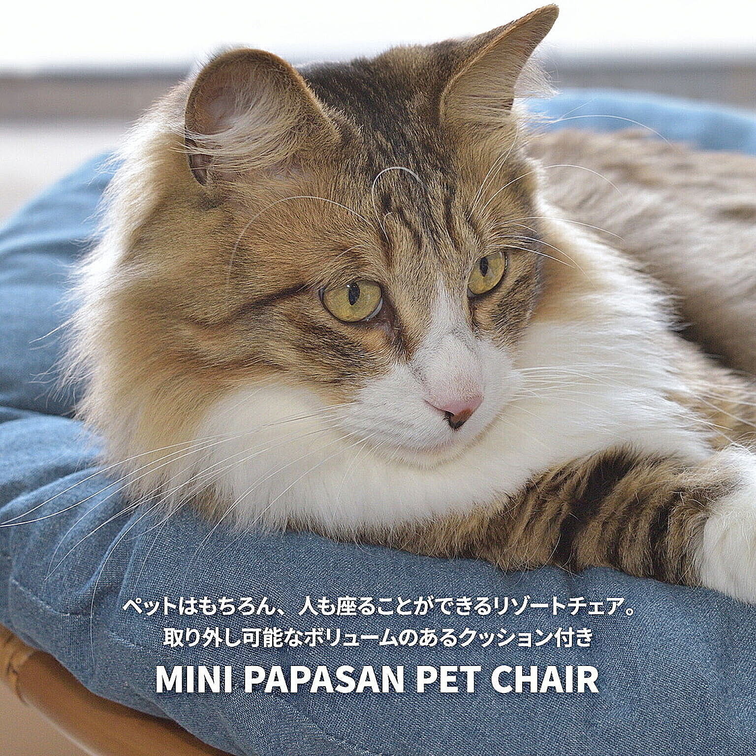犬用インテリア・犬用家具