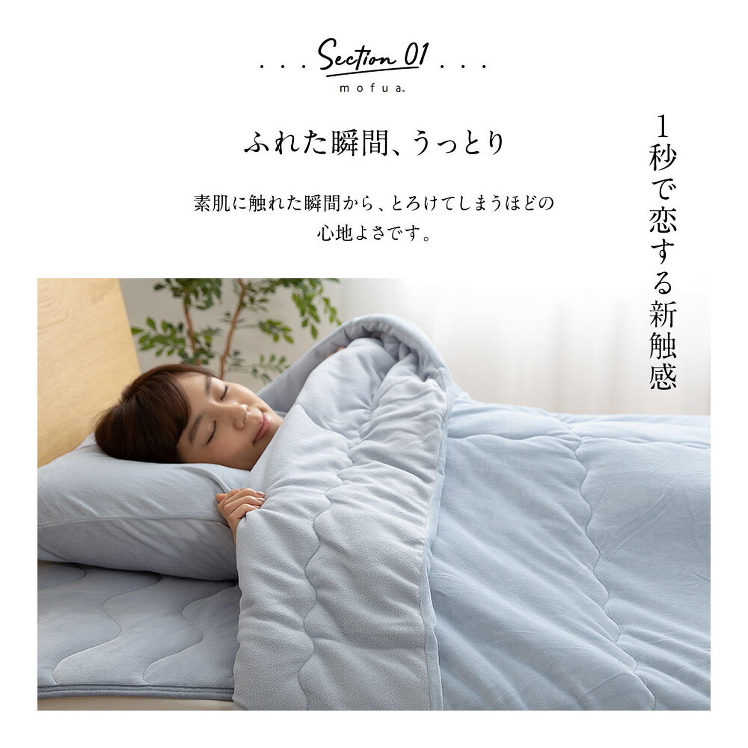 ブランケット・毛布