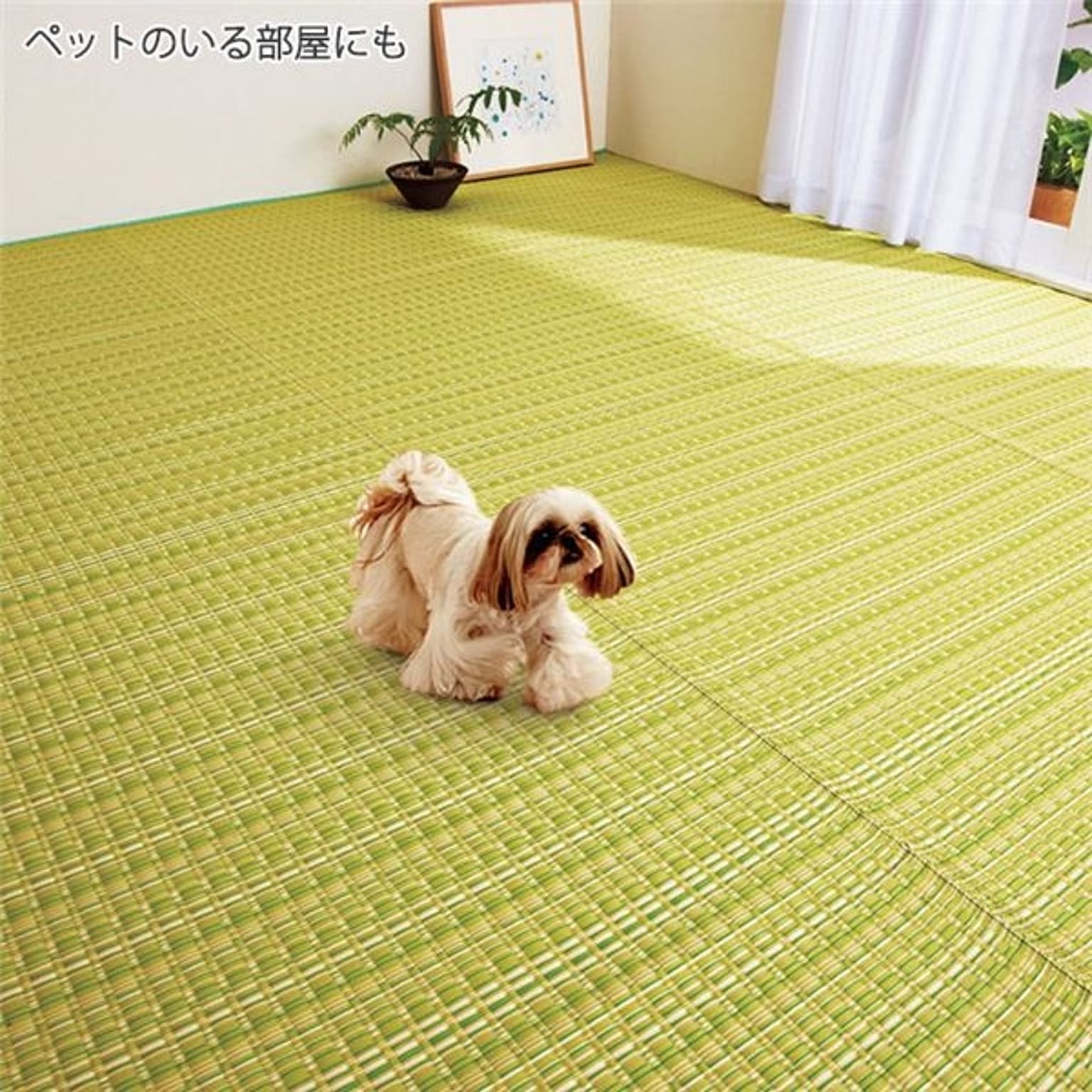 い草風 ラグマット/絨毯 【本間4.5畳 286×286cm 正方形 グリーン】 洗える 日本製 折りたたみ収納可 〔リビング〕