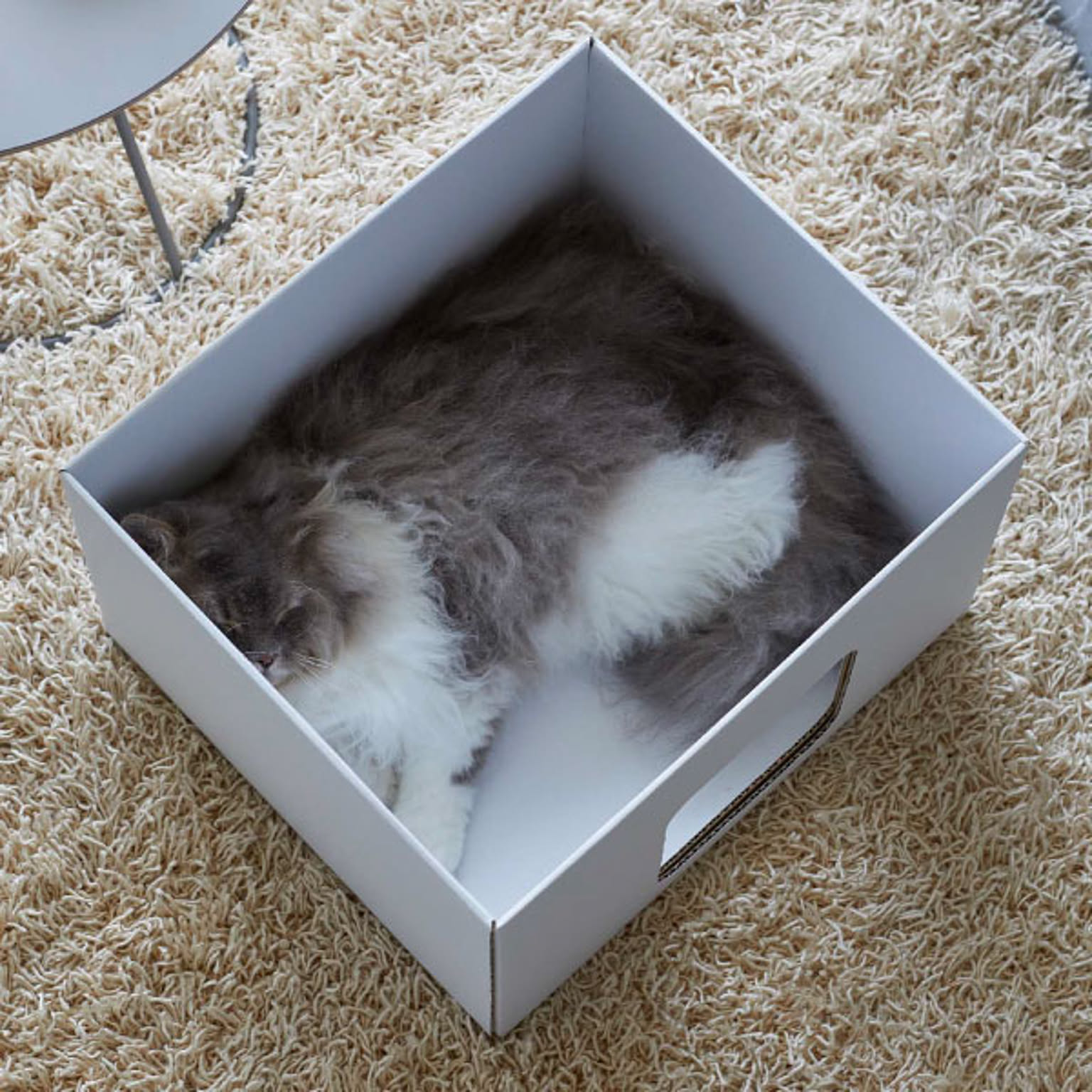 猫用インテリア・猫用家具