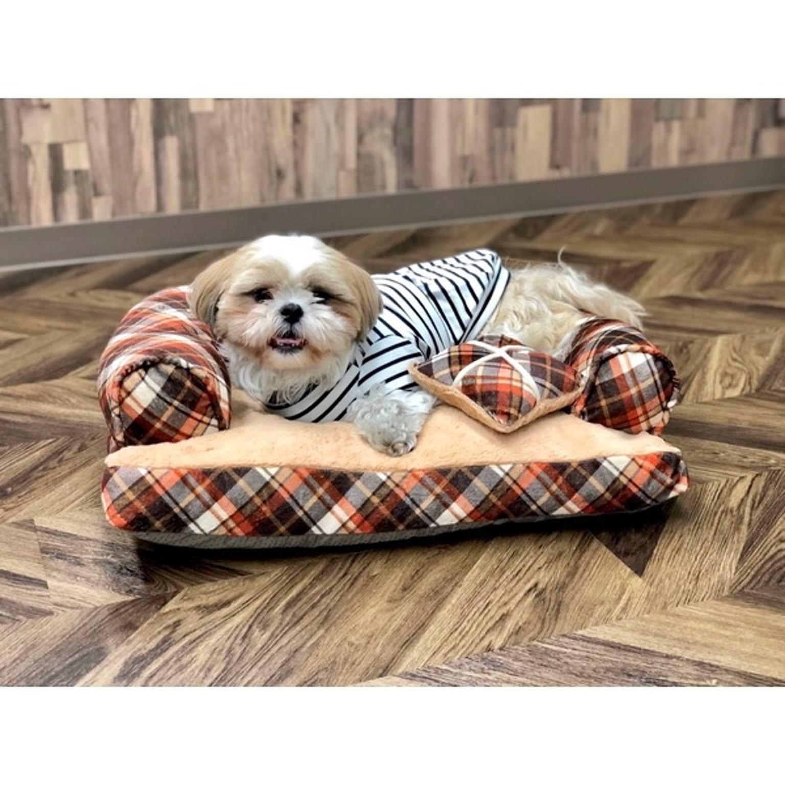 犬用インテリア・犬用家具